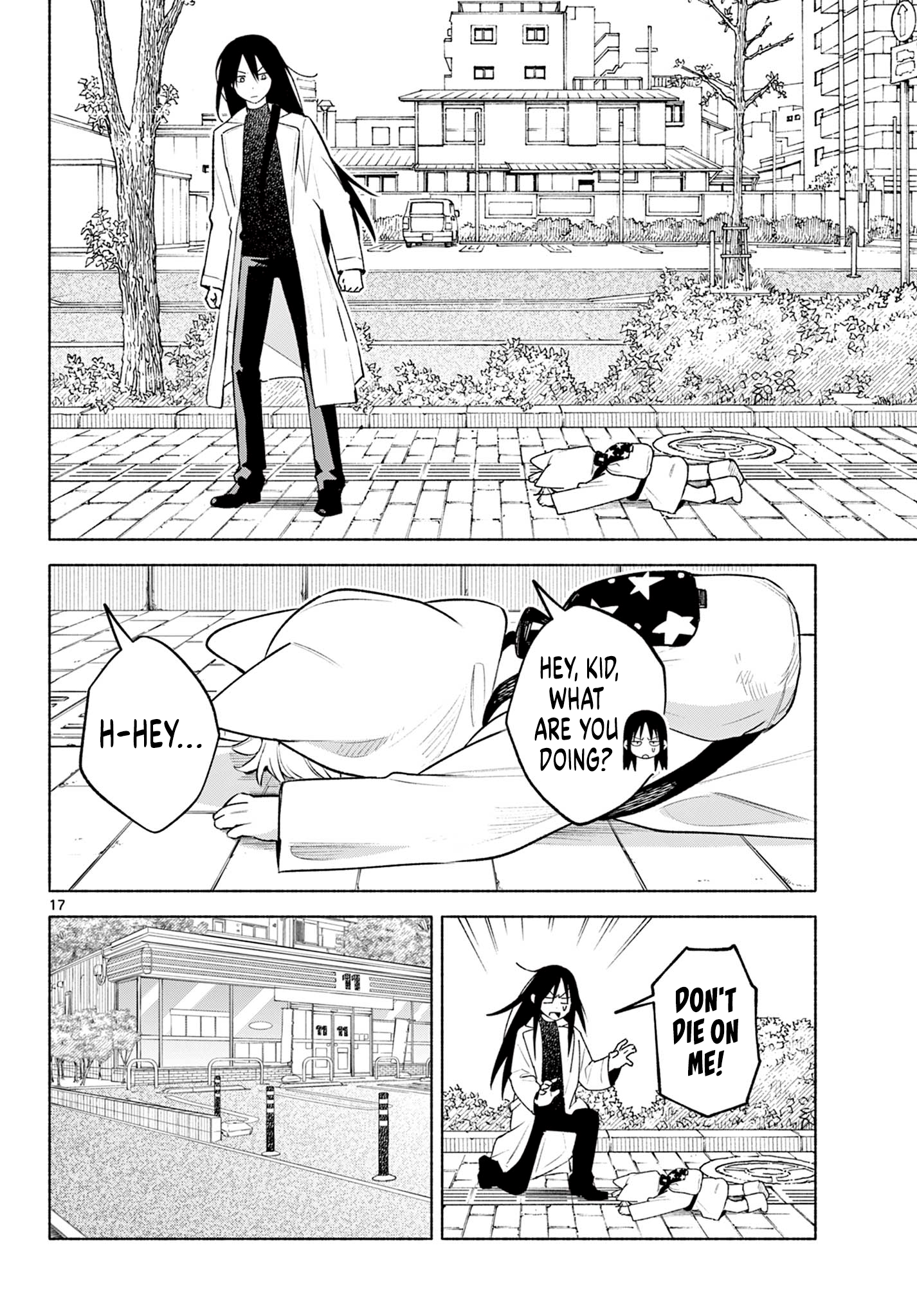 Page 17