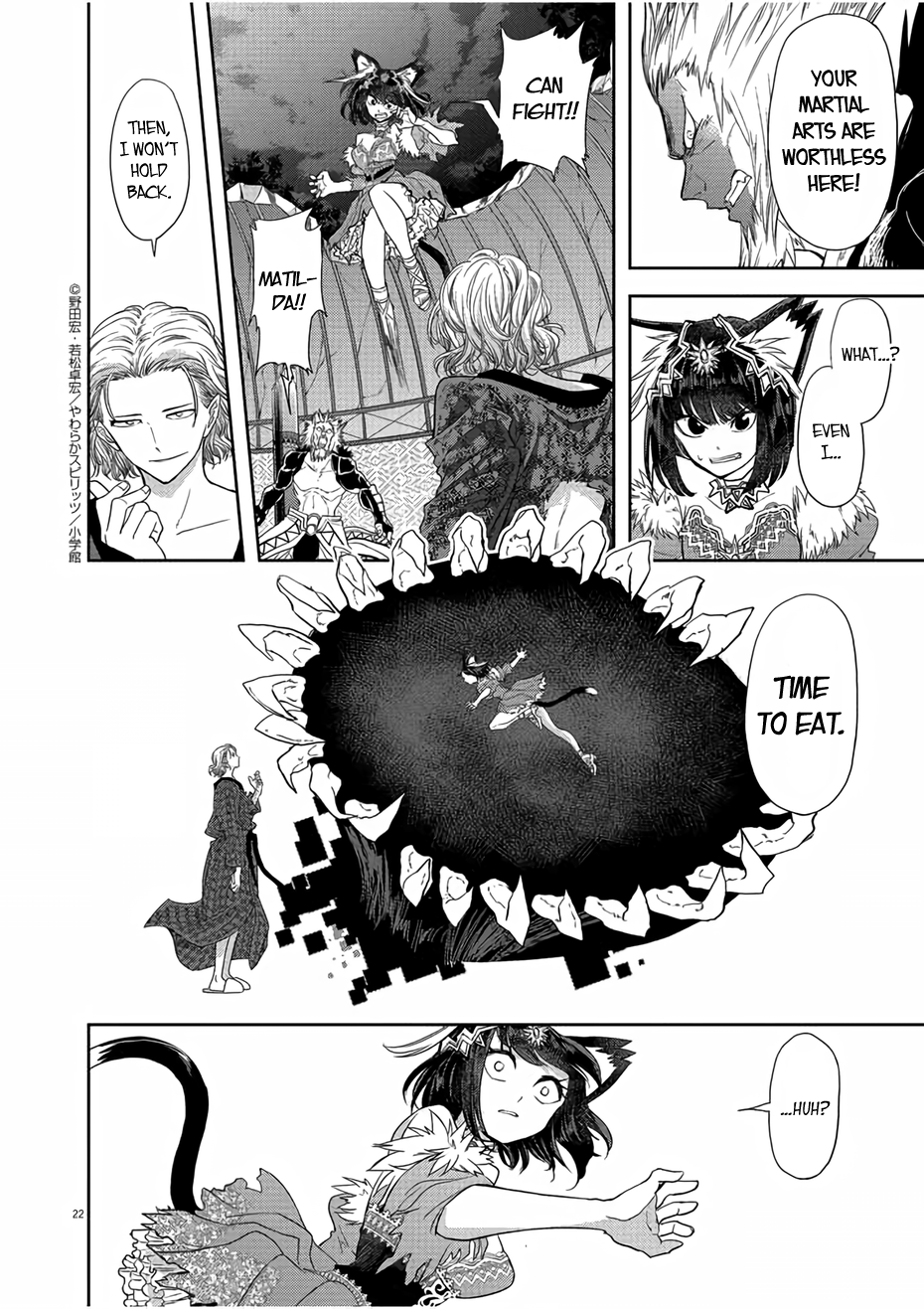 Page 22