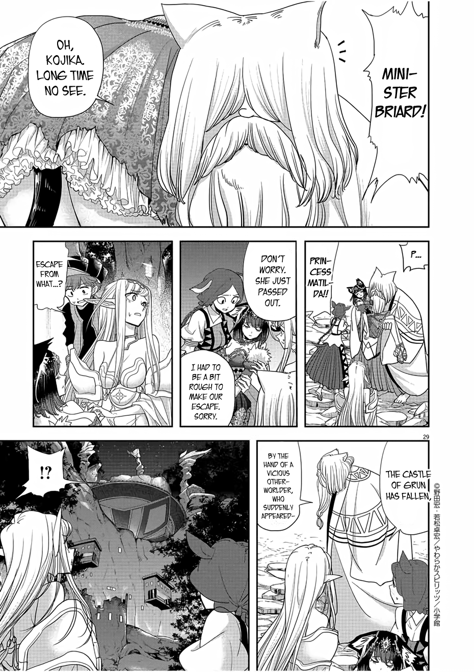Page 29
