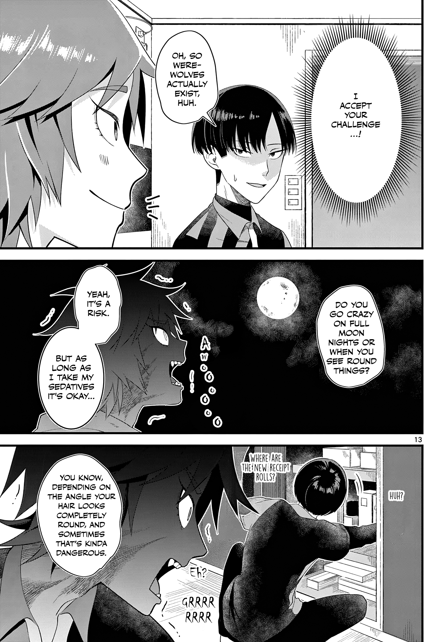 Page 13