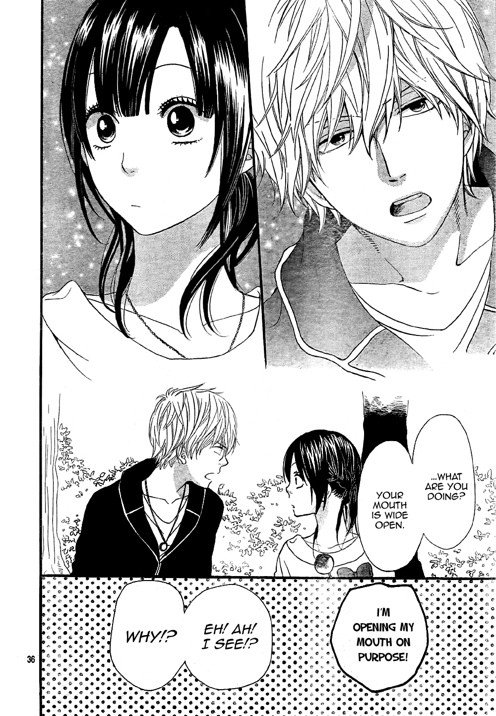 Page 36