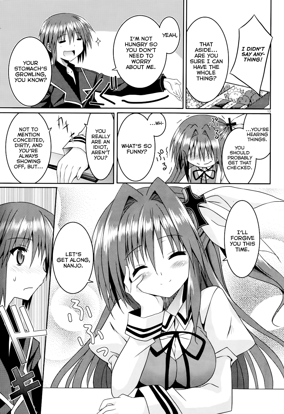 Page 13