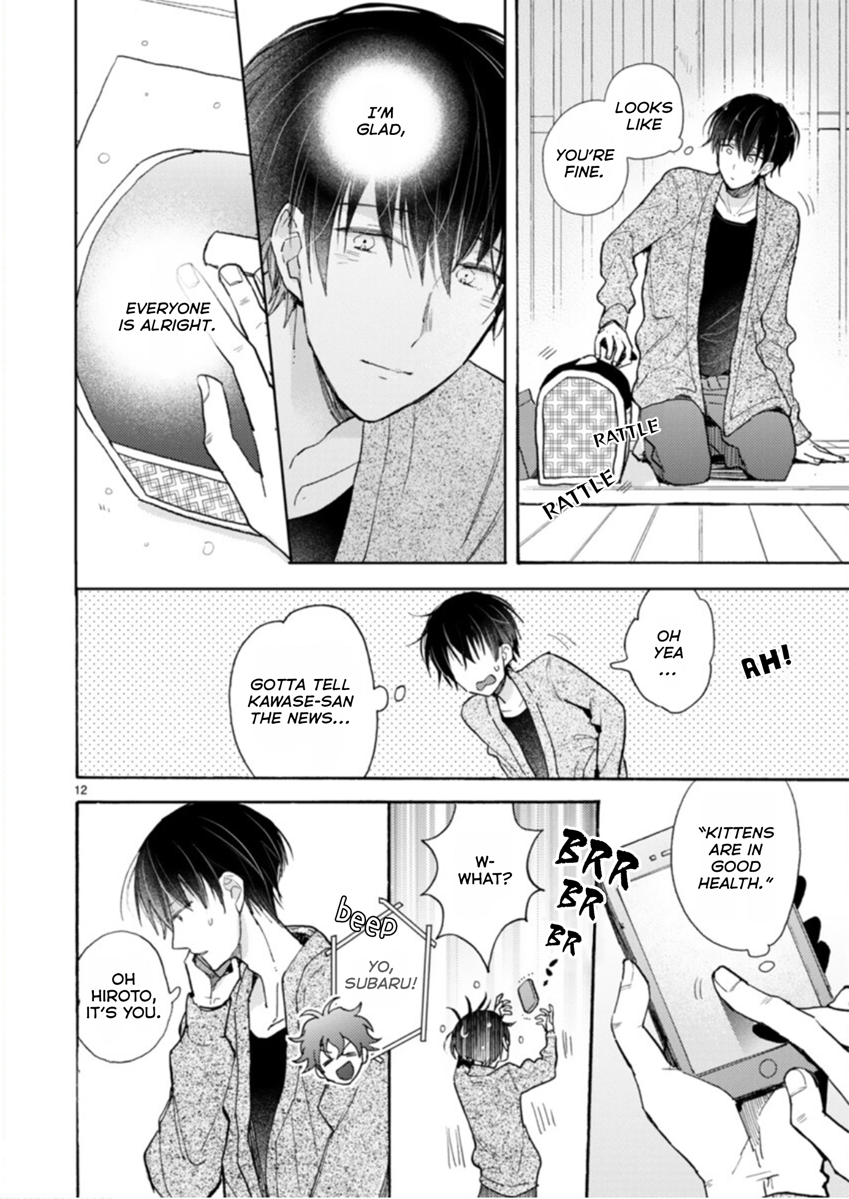 Page 12