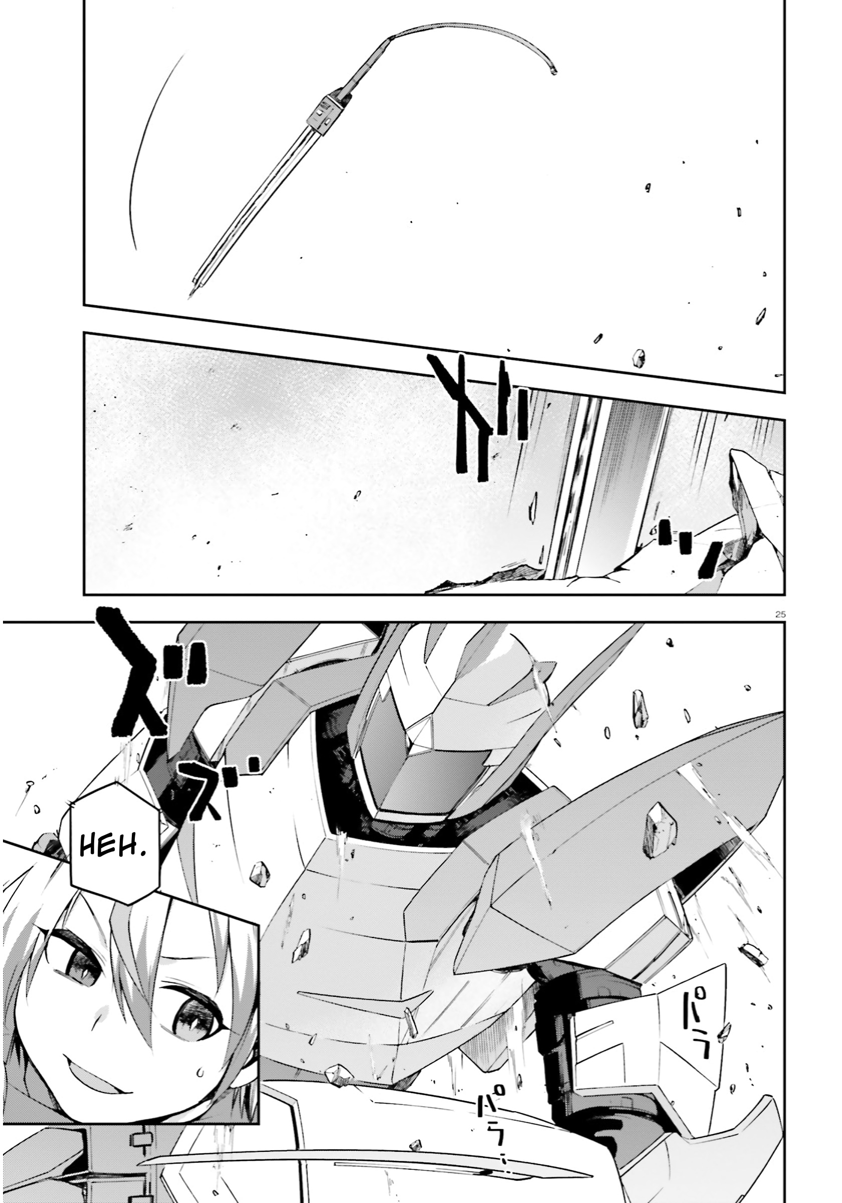 Page 25