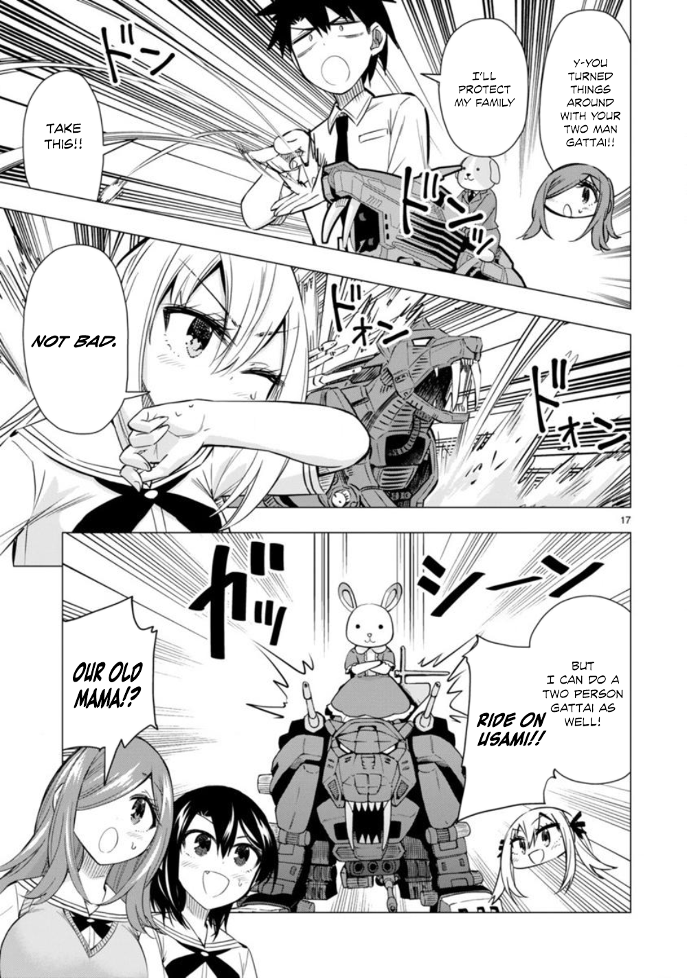 Page 17