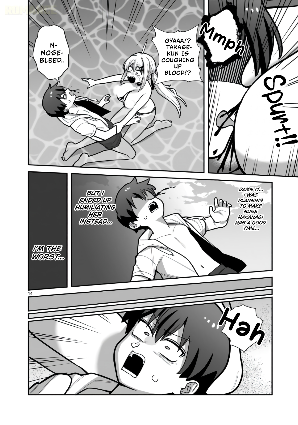 Page 15