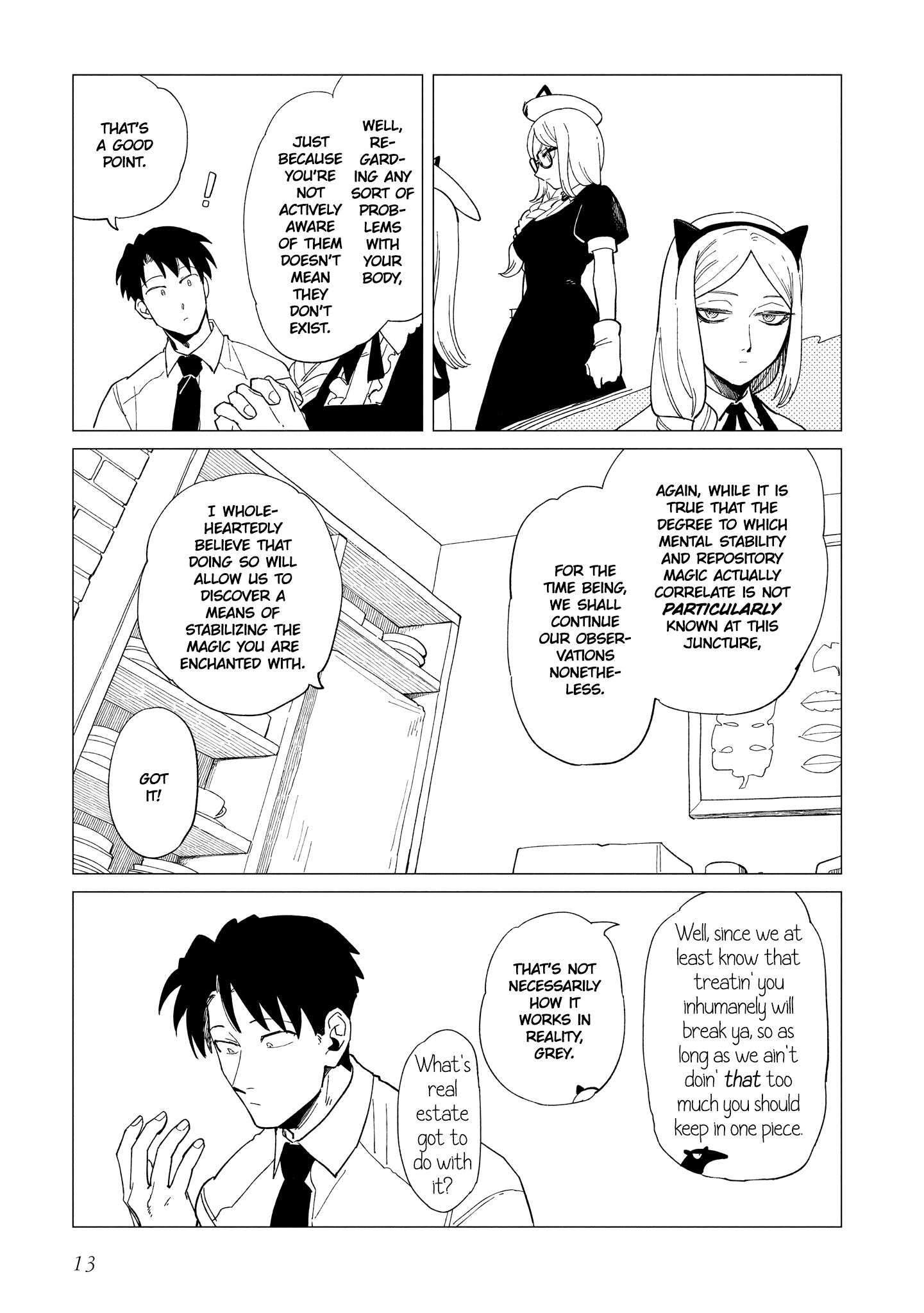 Page 13