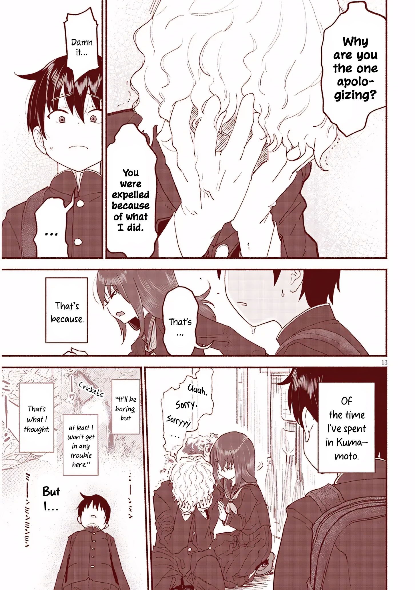 Page 13