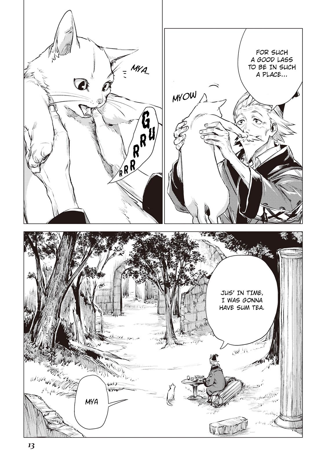 Page 13