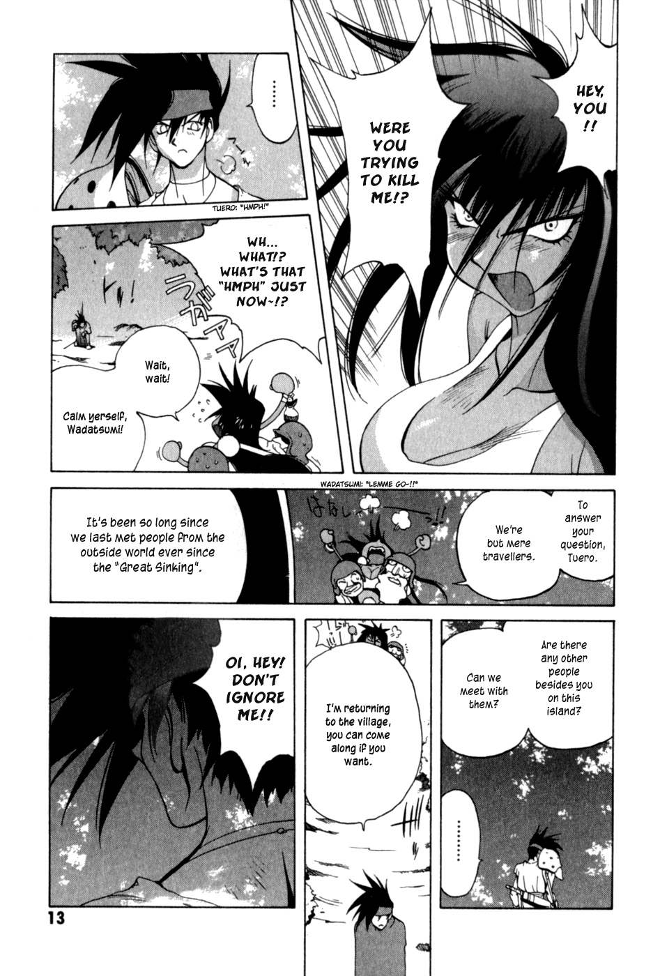 Page 13