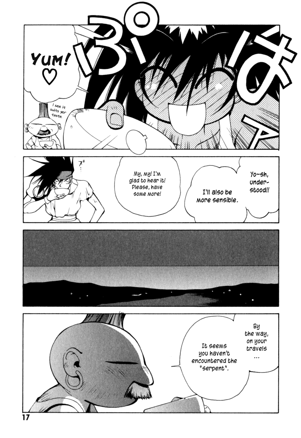 Page 17