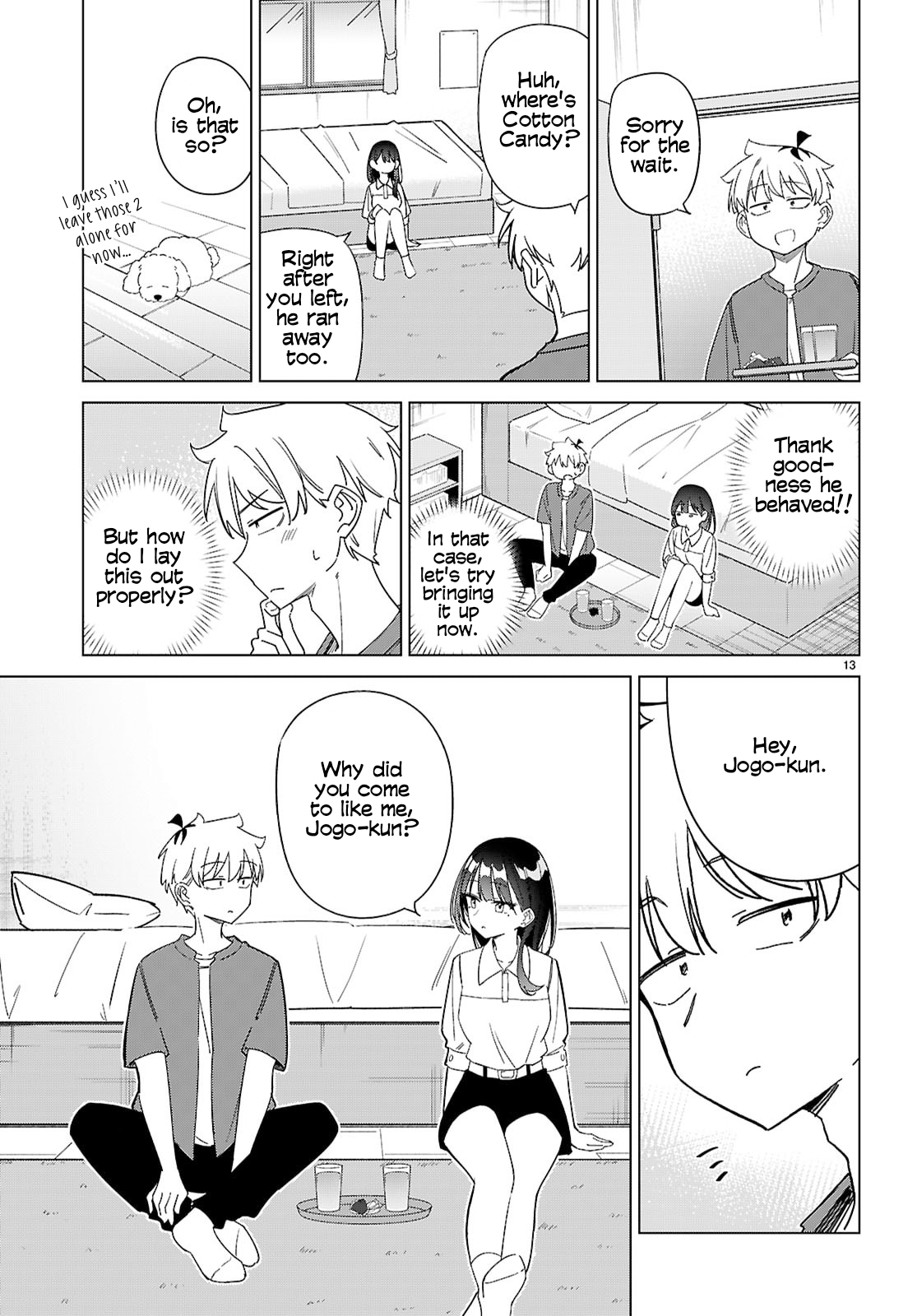 Page 13