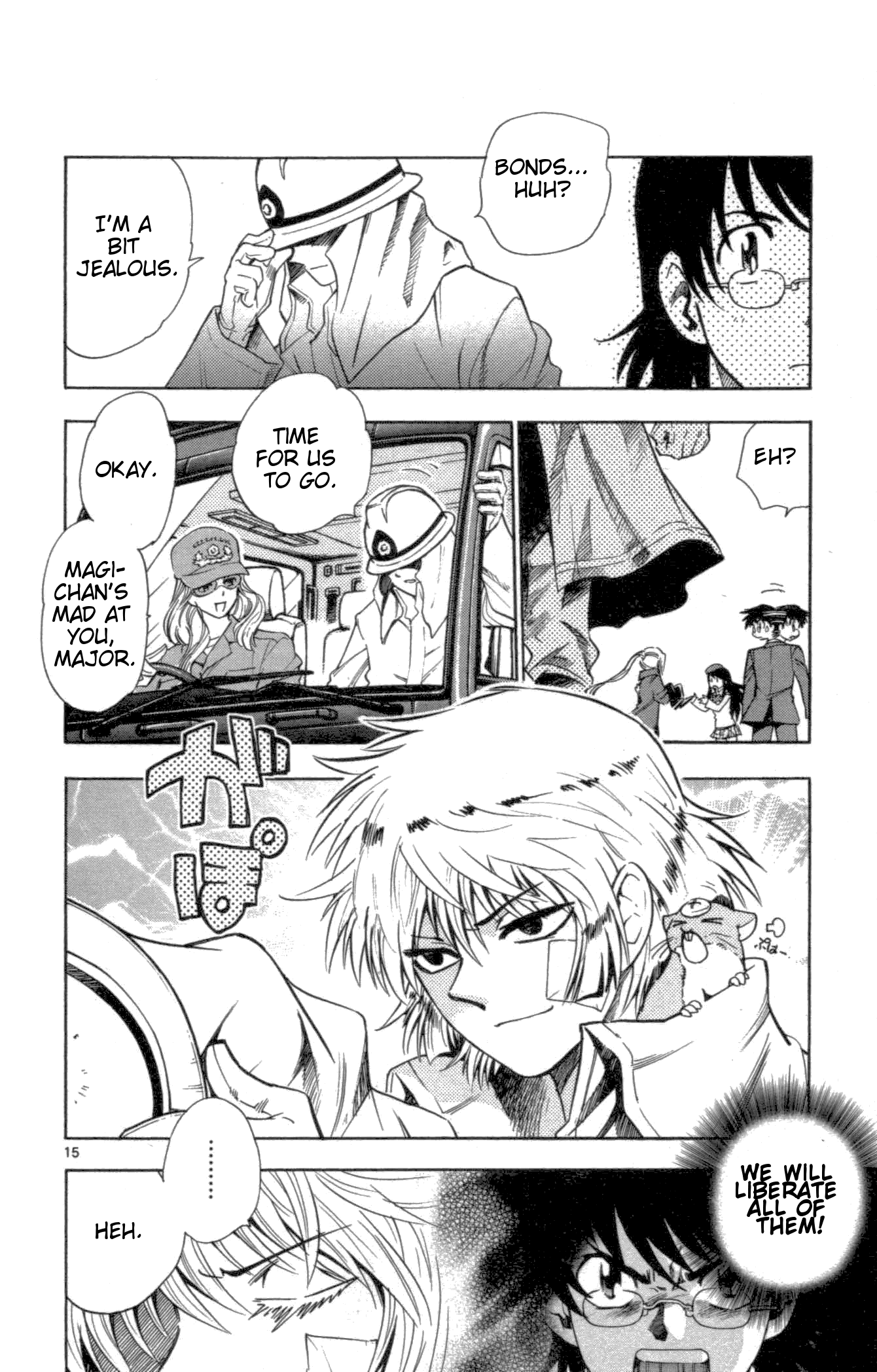 Page 15