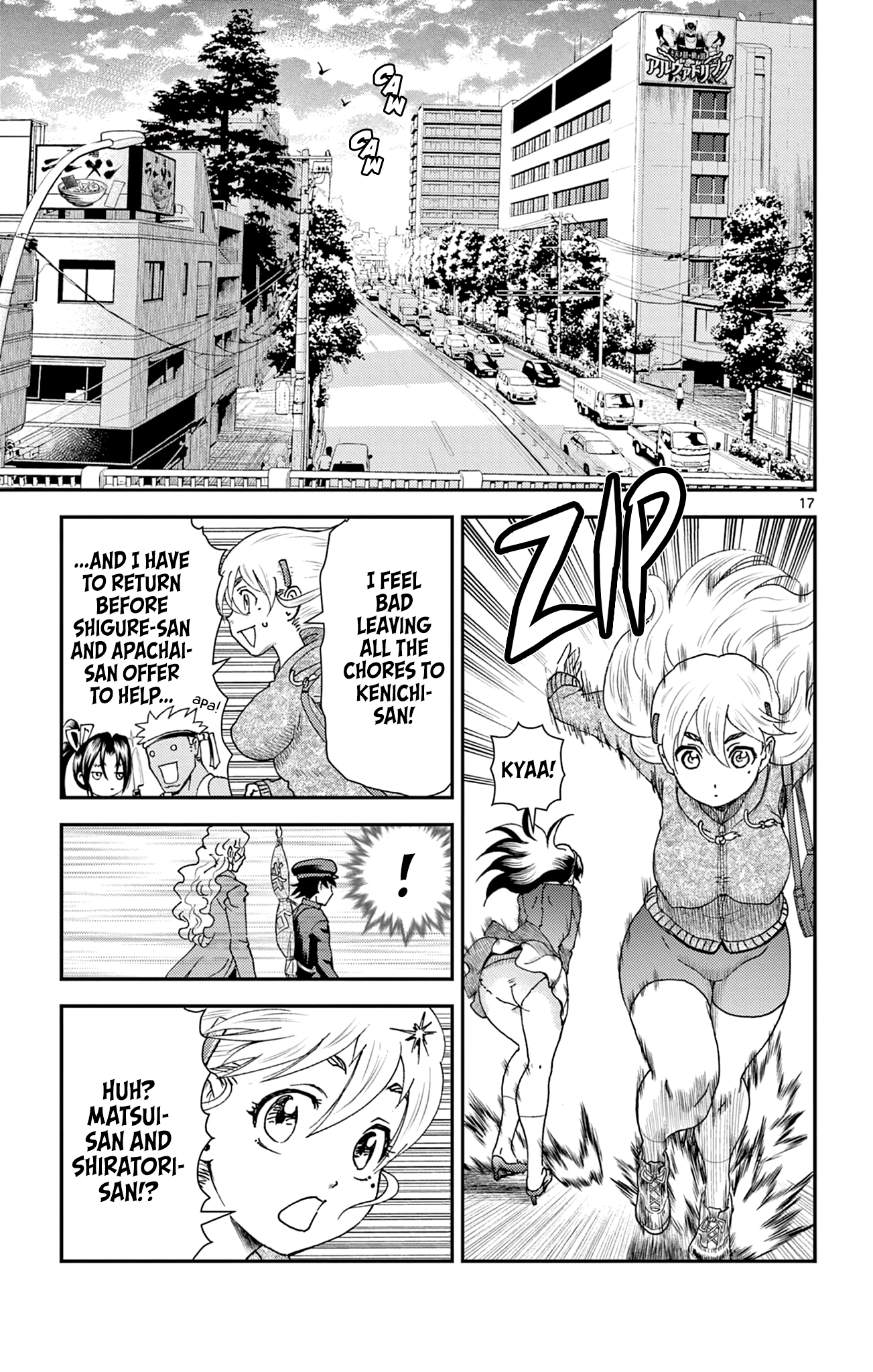 Page 17
