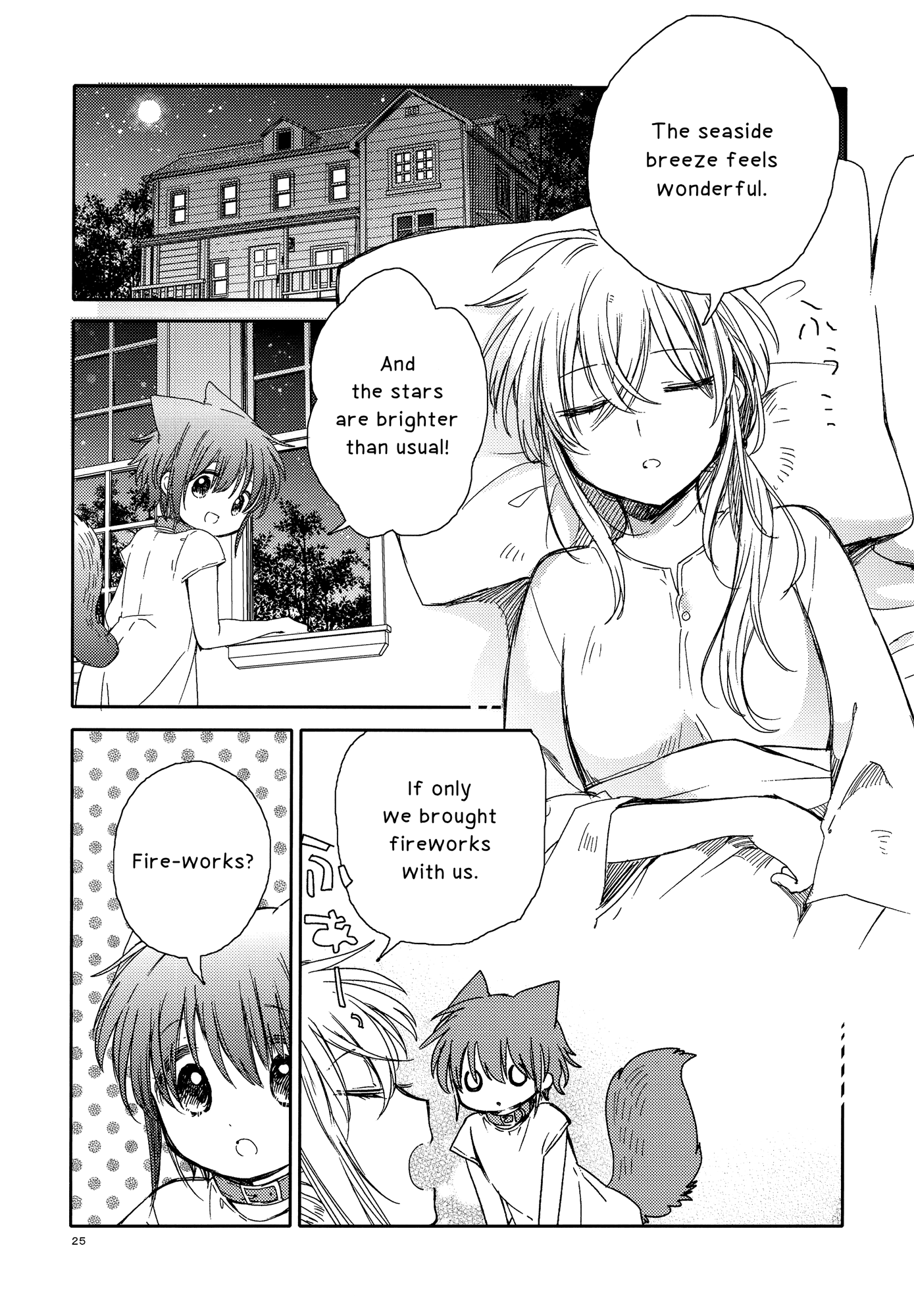 Page 25