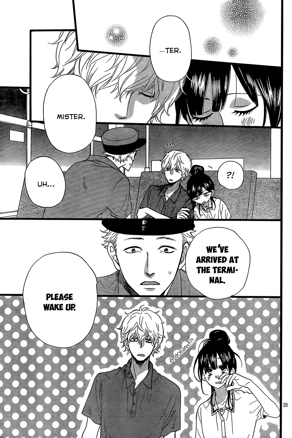 Page 33