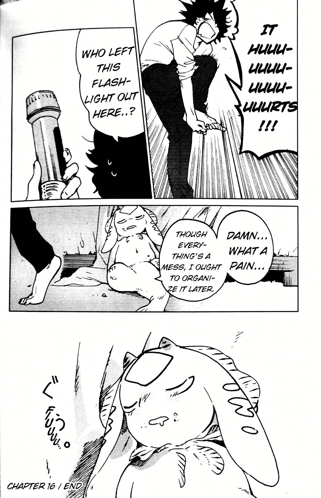 Page 16