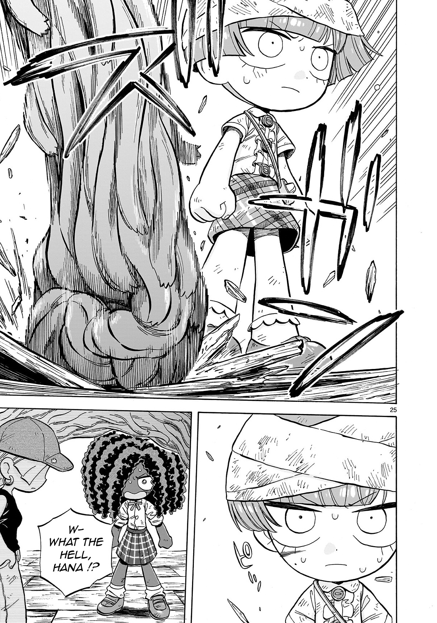 Page 25