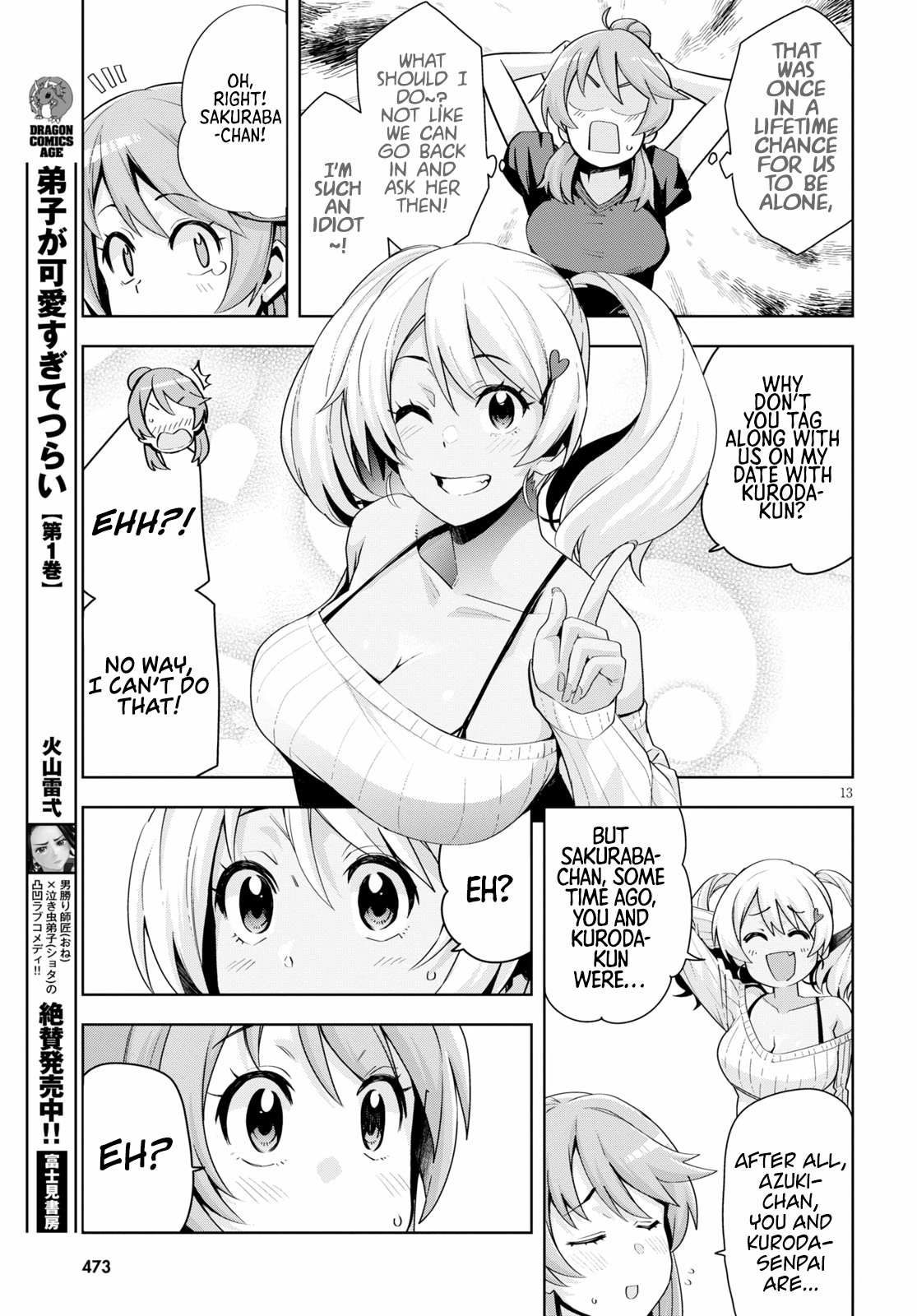 Page 13