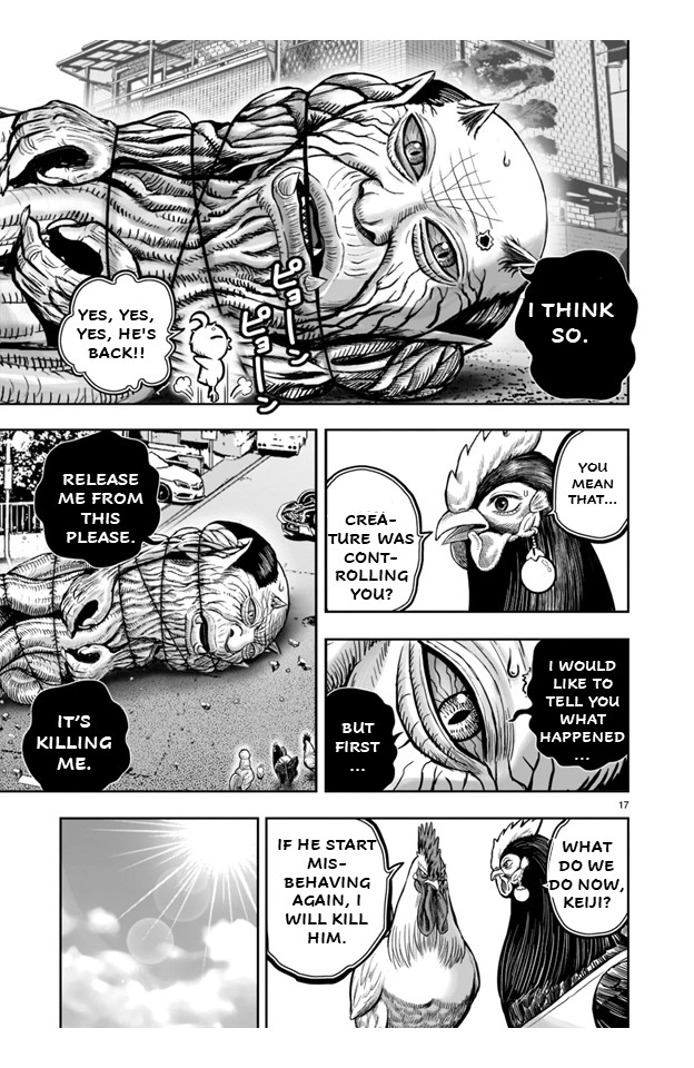 Page 17