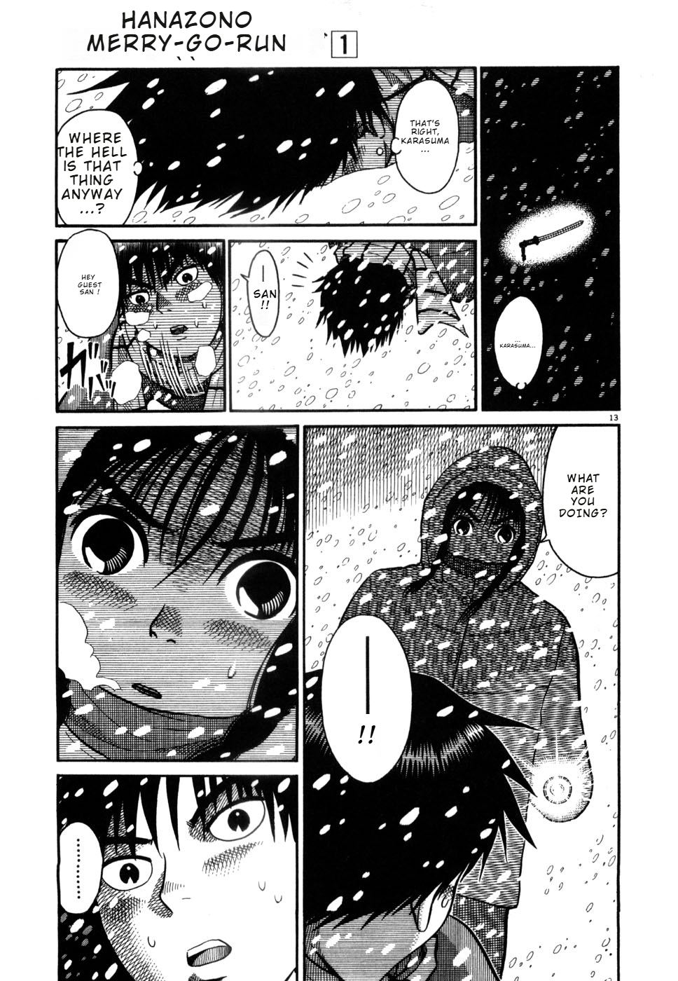 Page 13