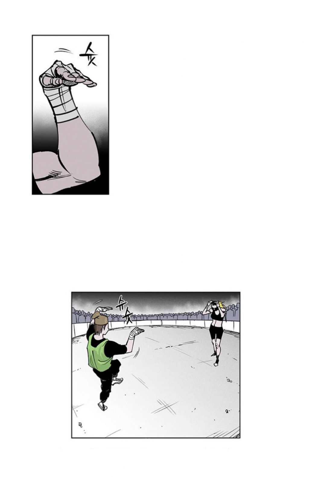 Page 101