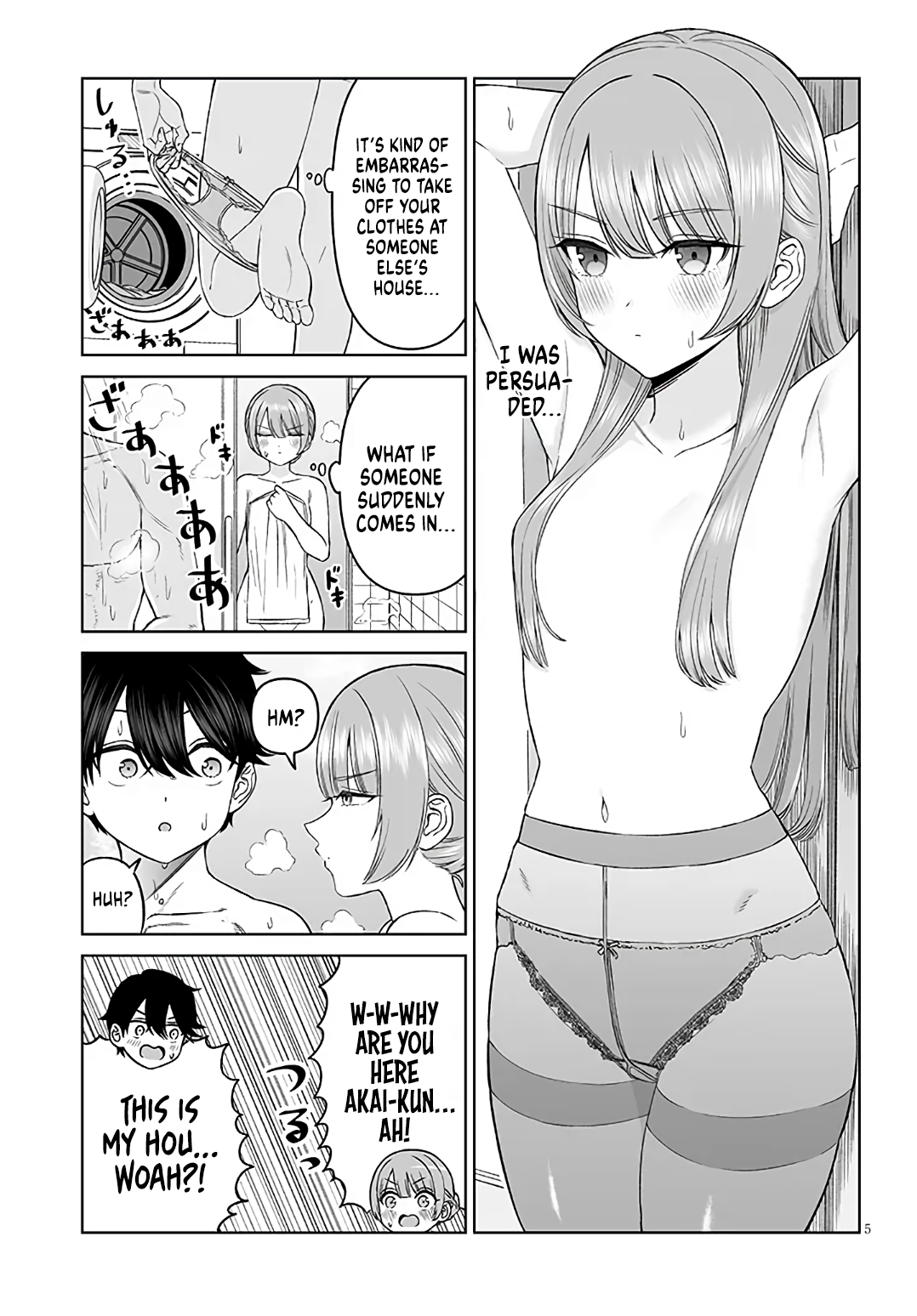 Page 5