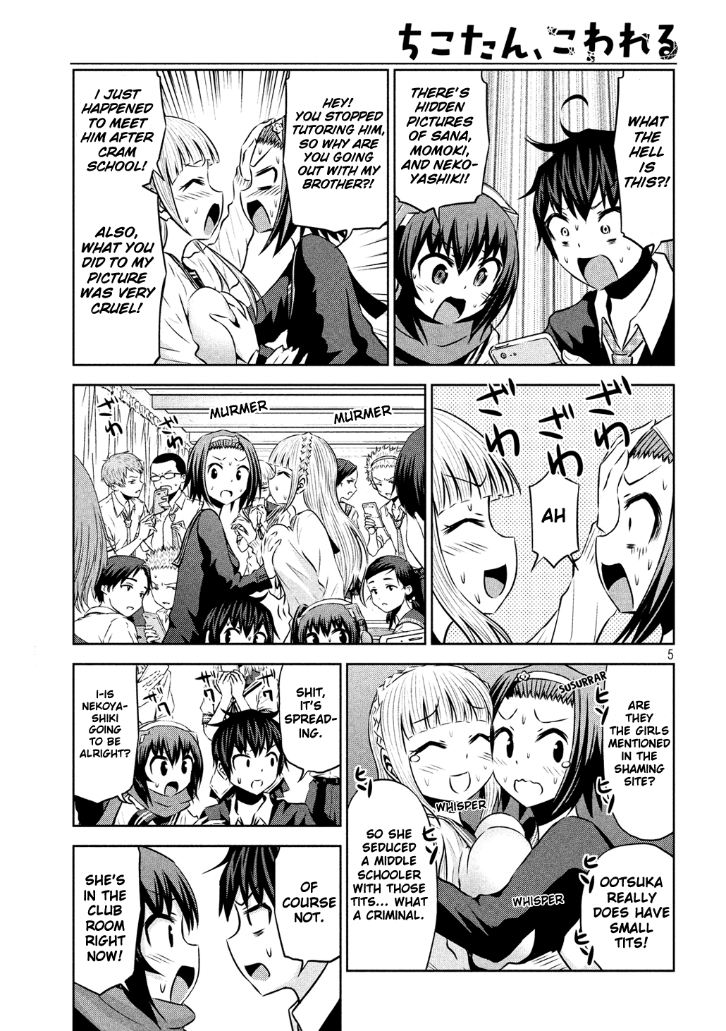Page 5