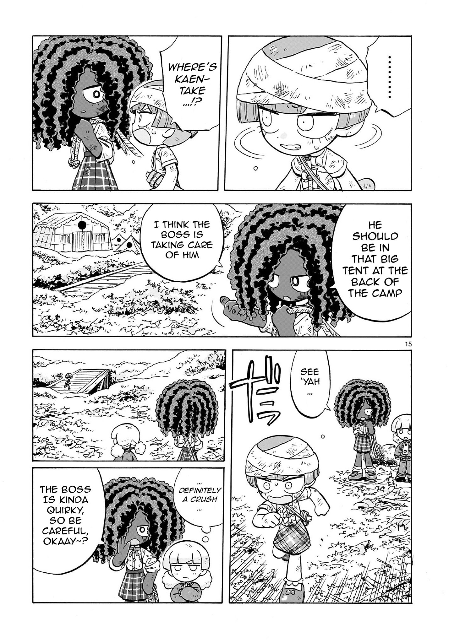 Page 15