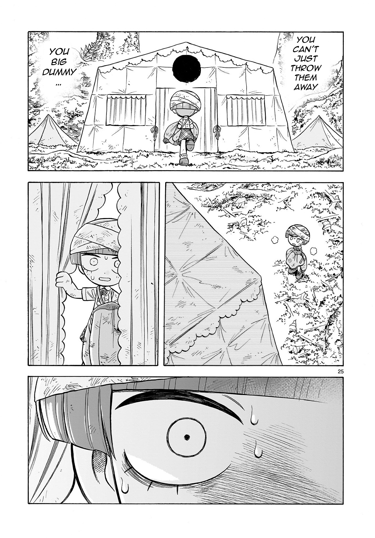 Page 25