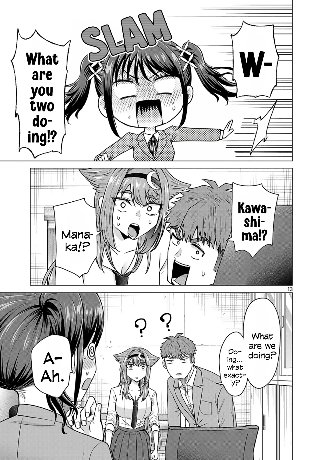 Page 13