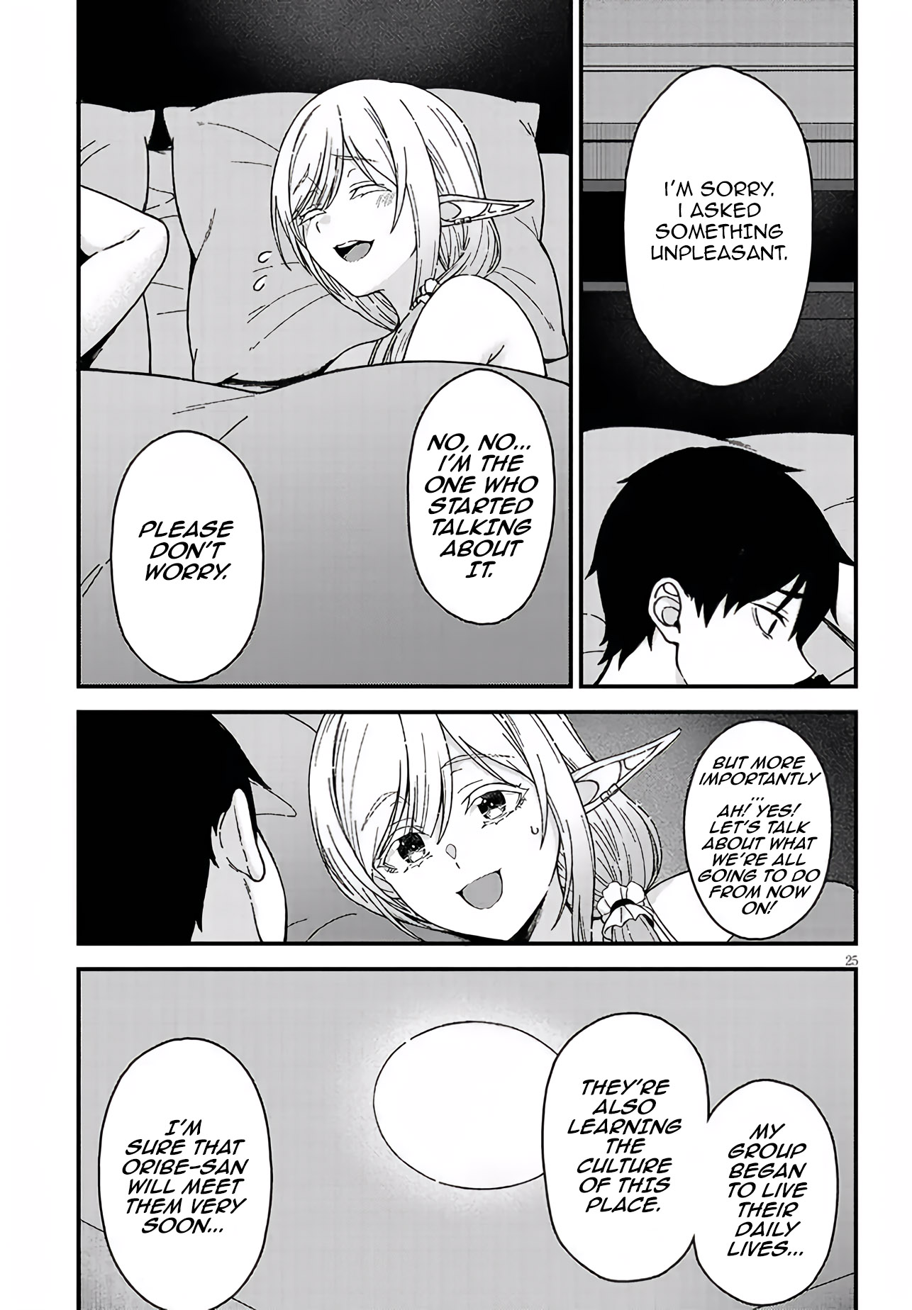 Page 25