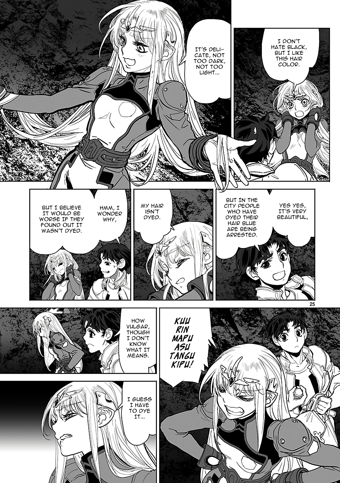 Page 25