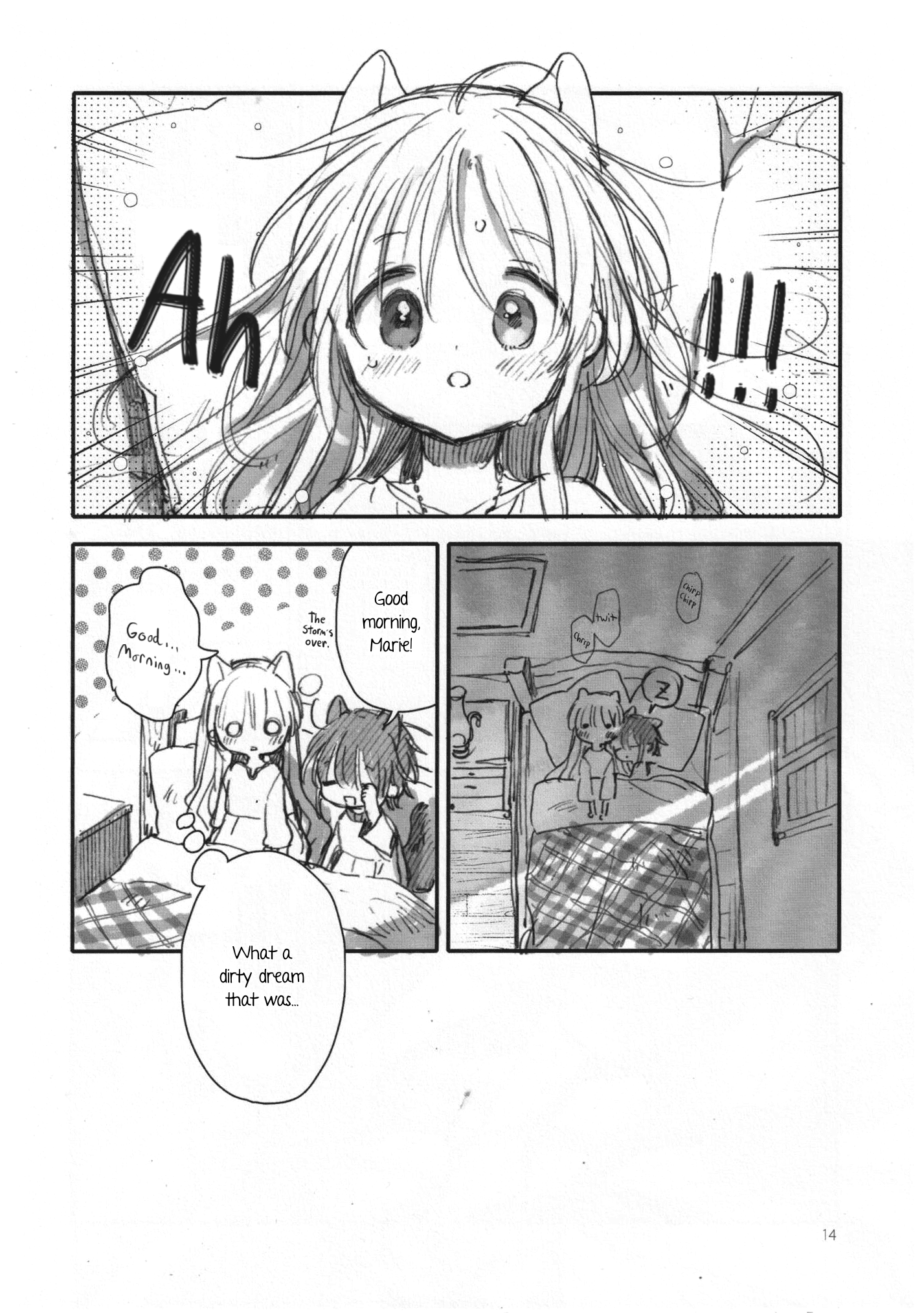 Page 14