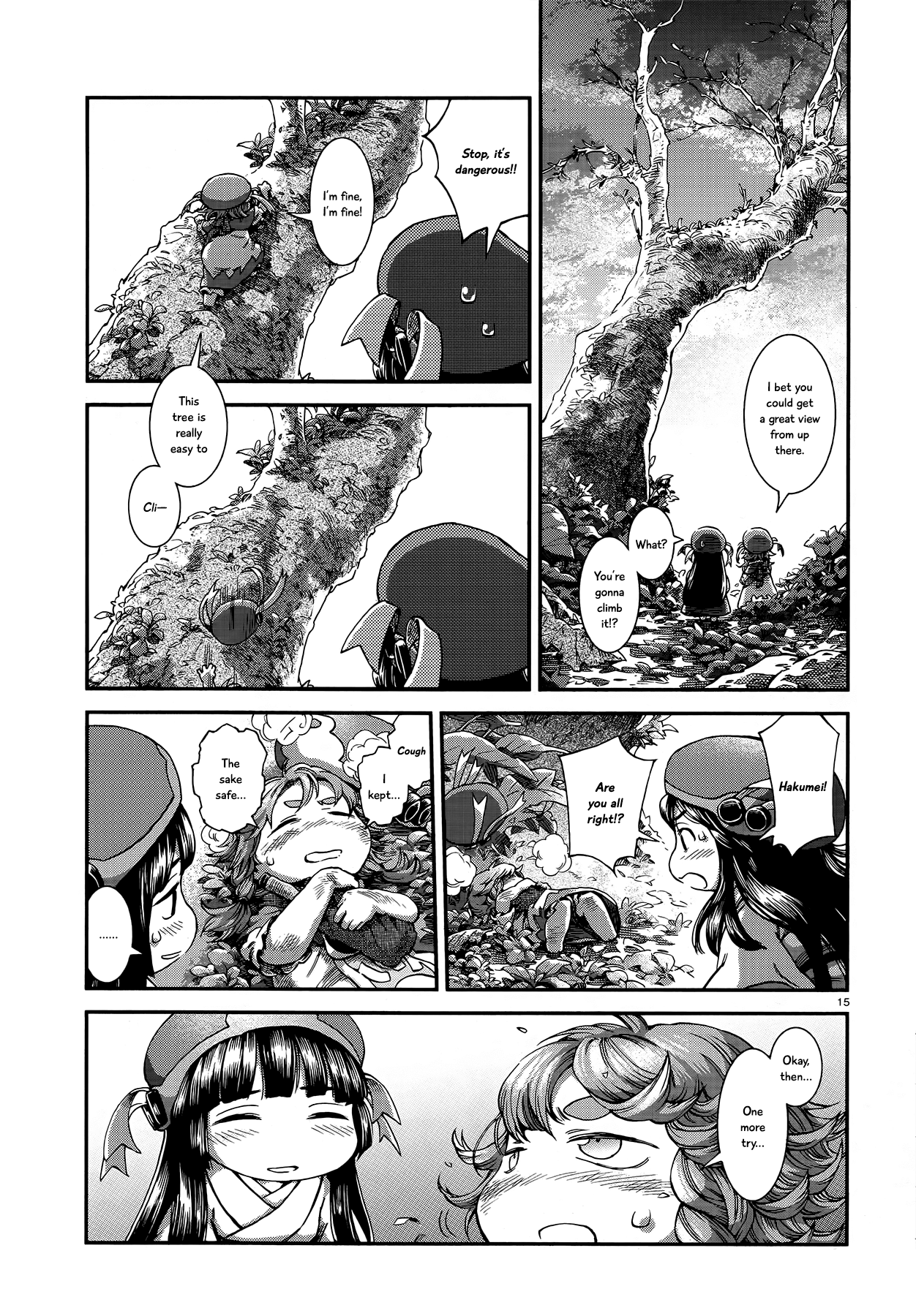 Page 15
