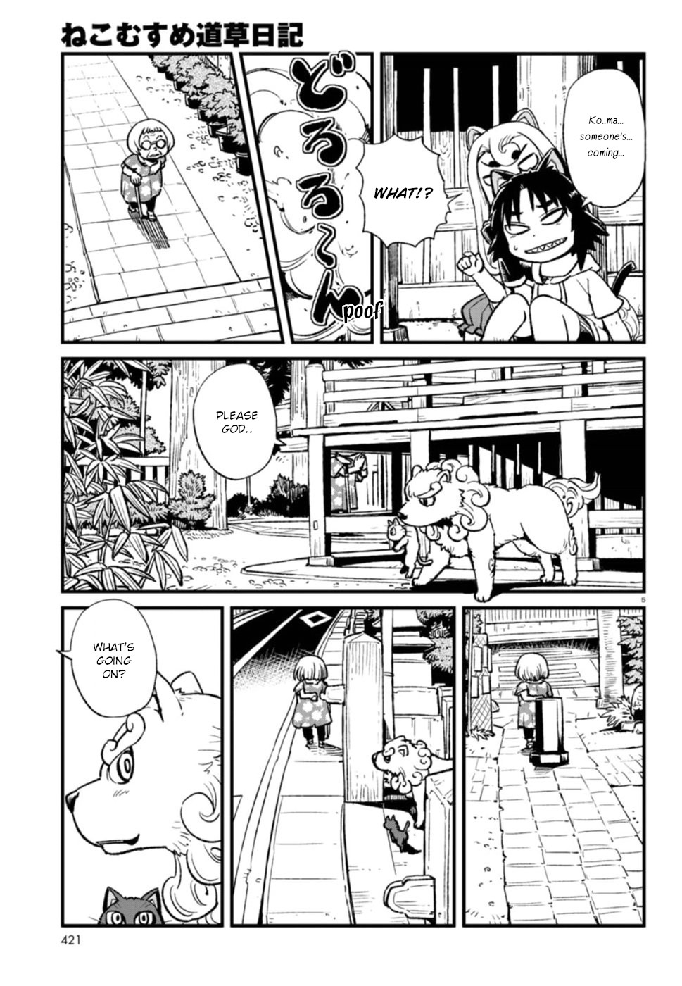 Page 5