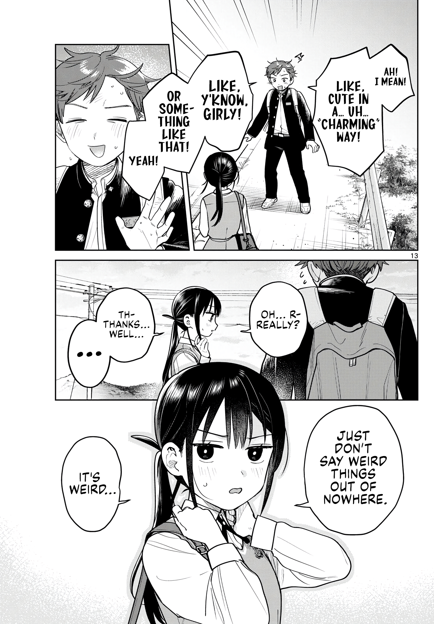 Page 13