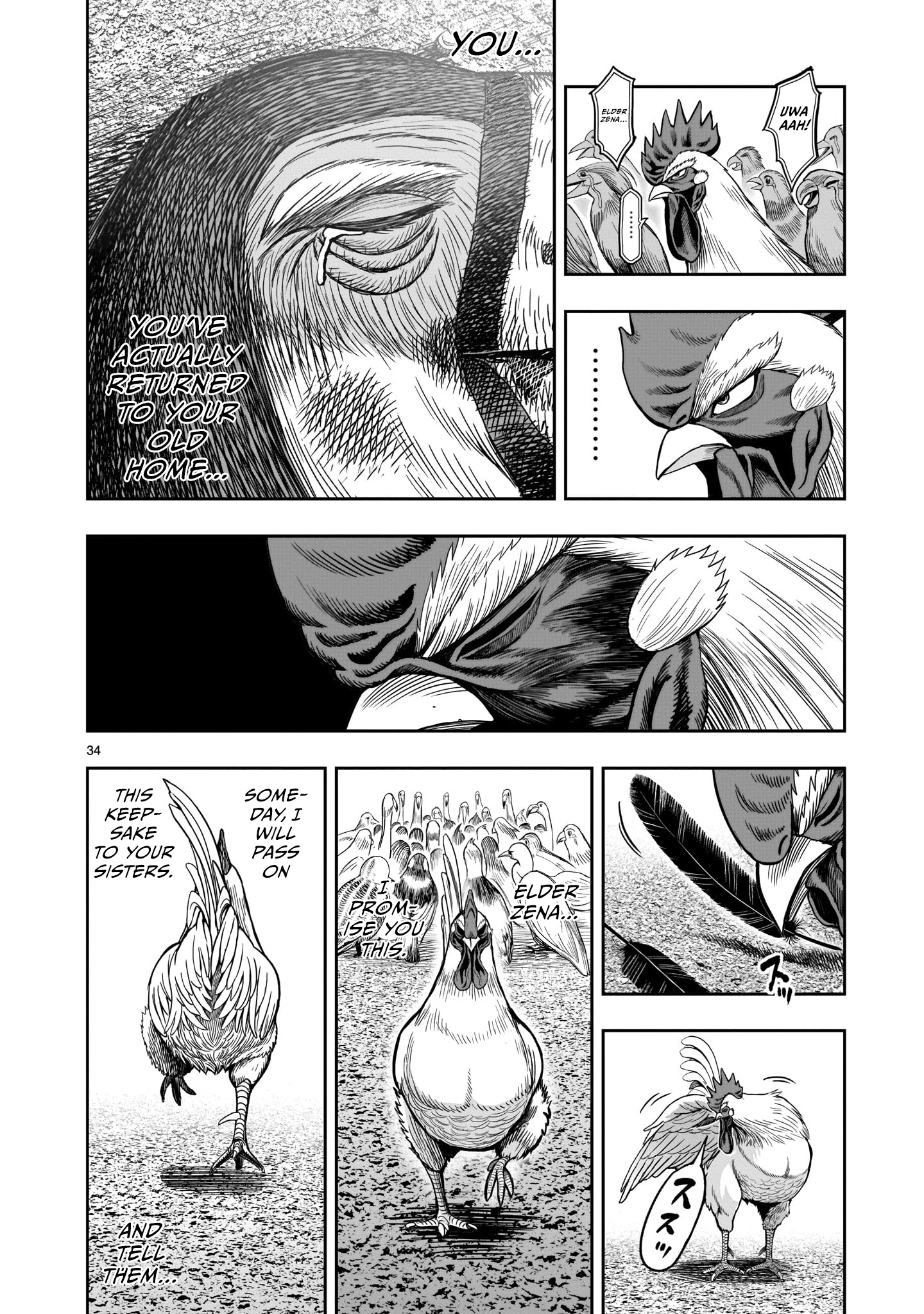 Page 34