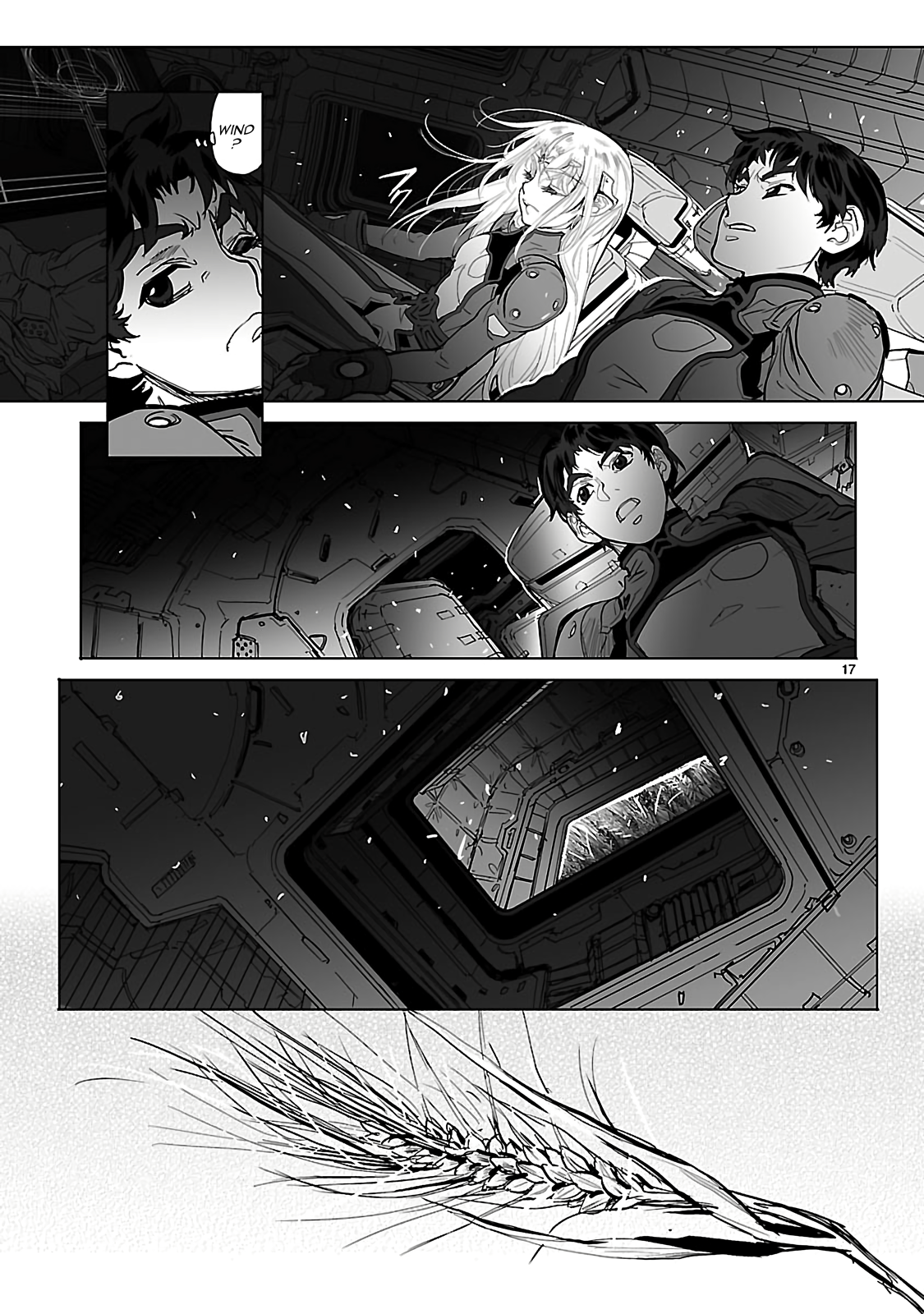 Page 17