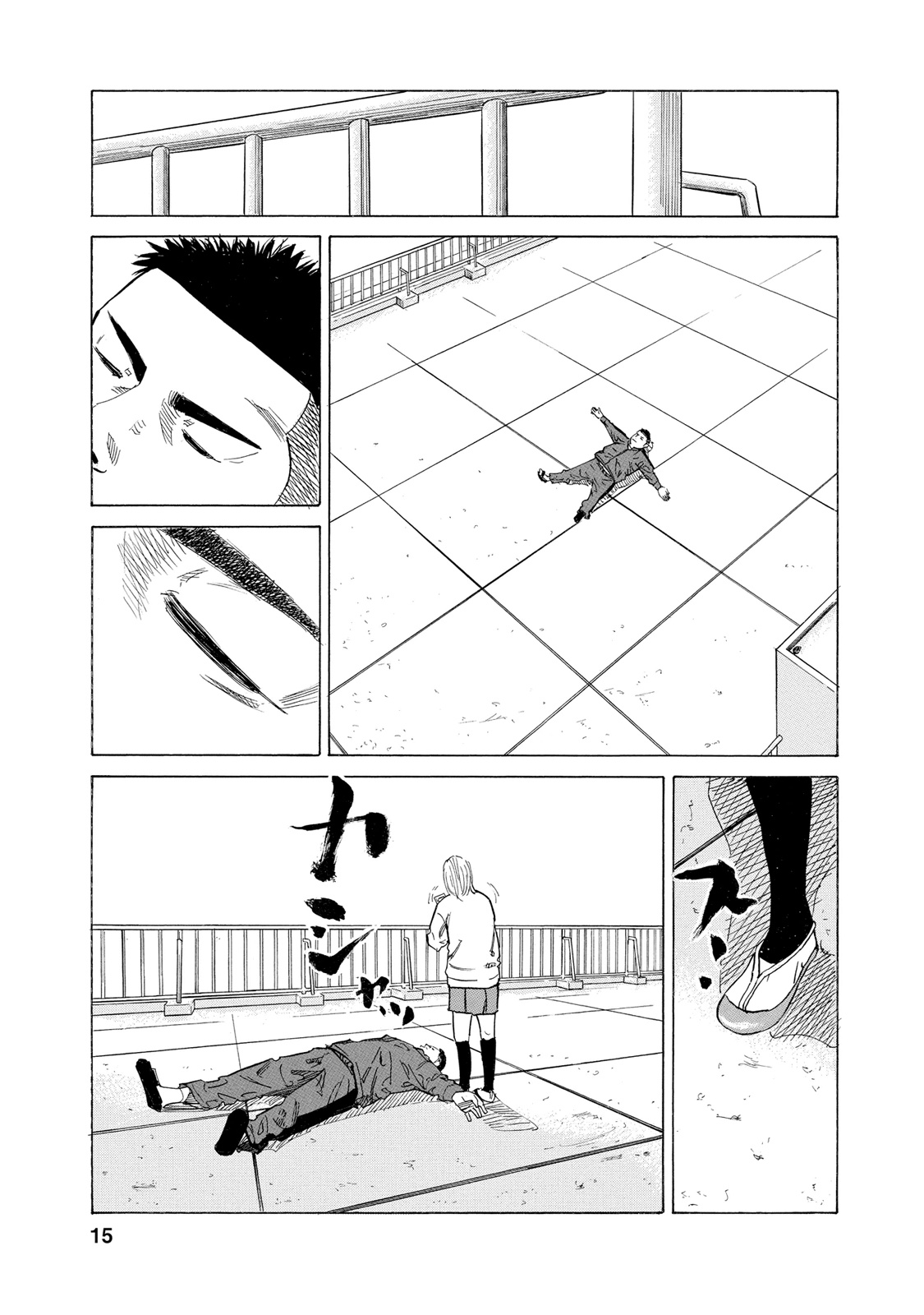 Page 15