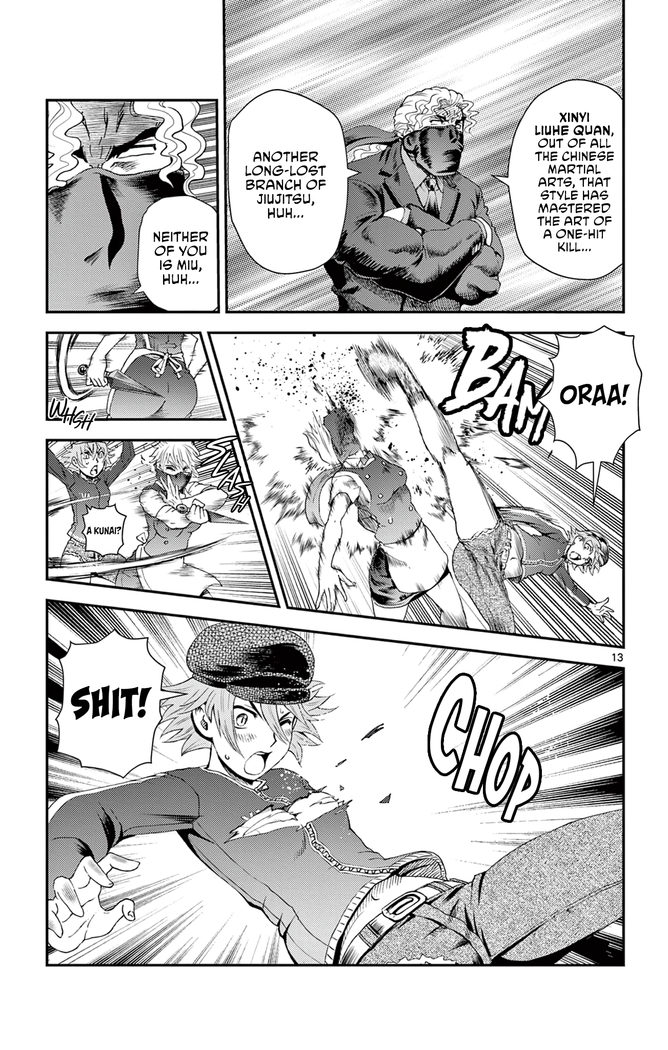 Page 13