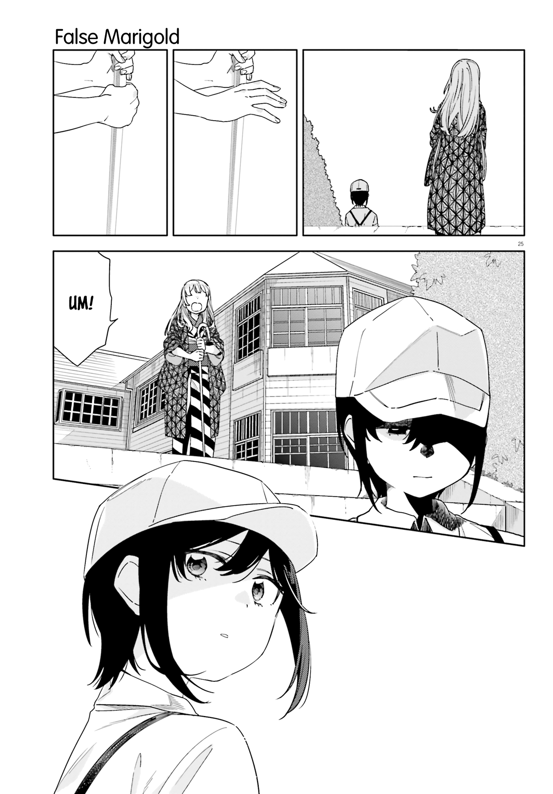 Page 25