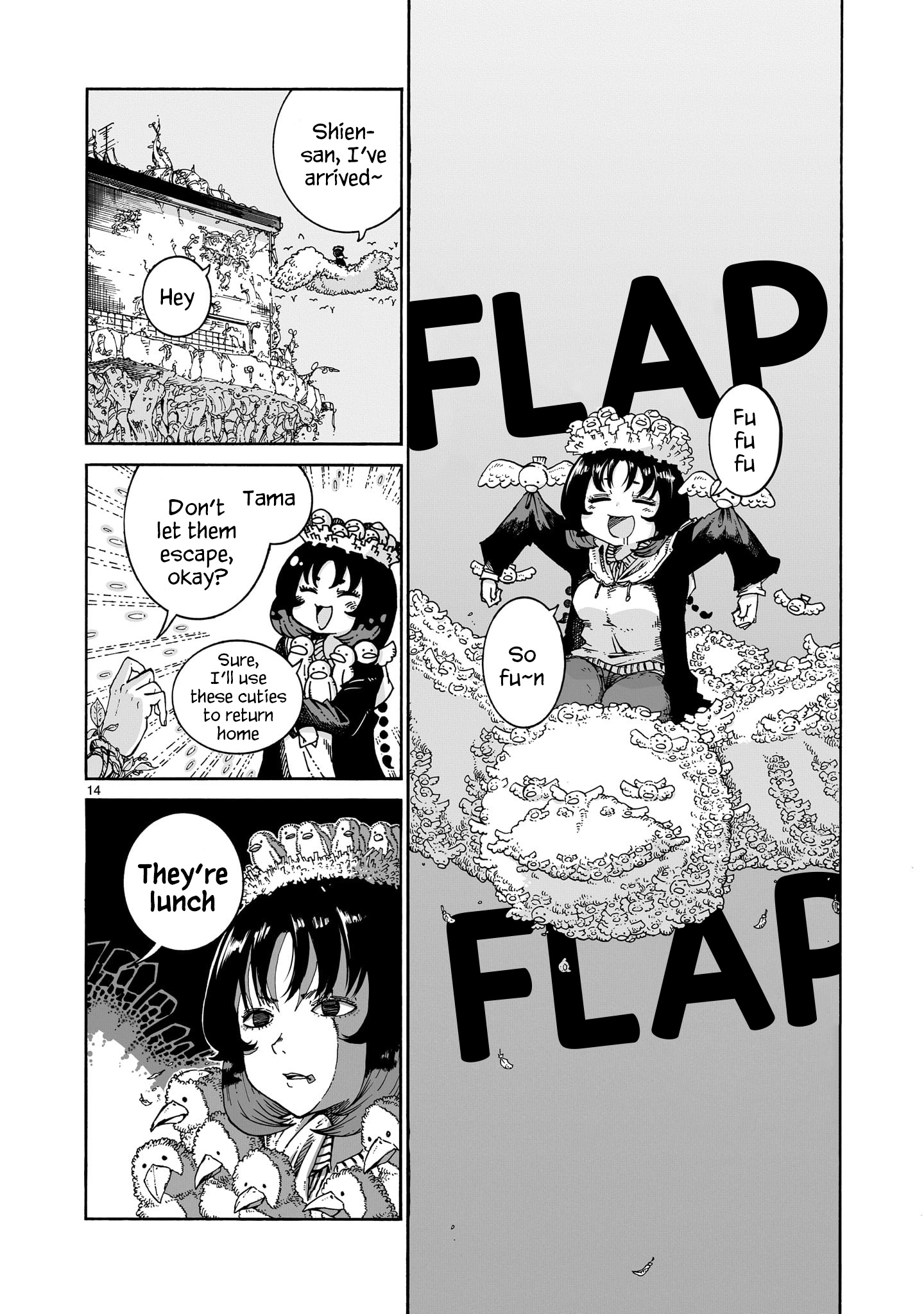 Page 14