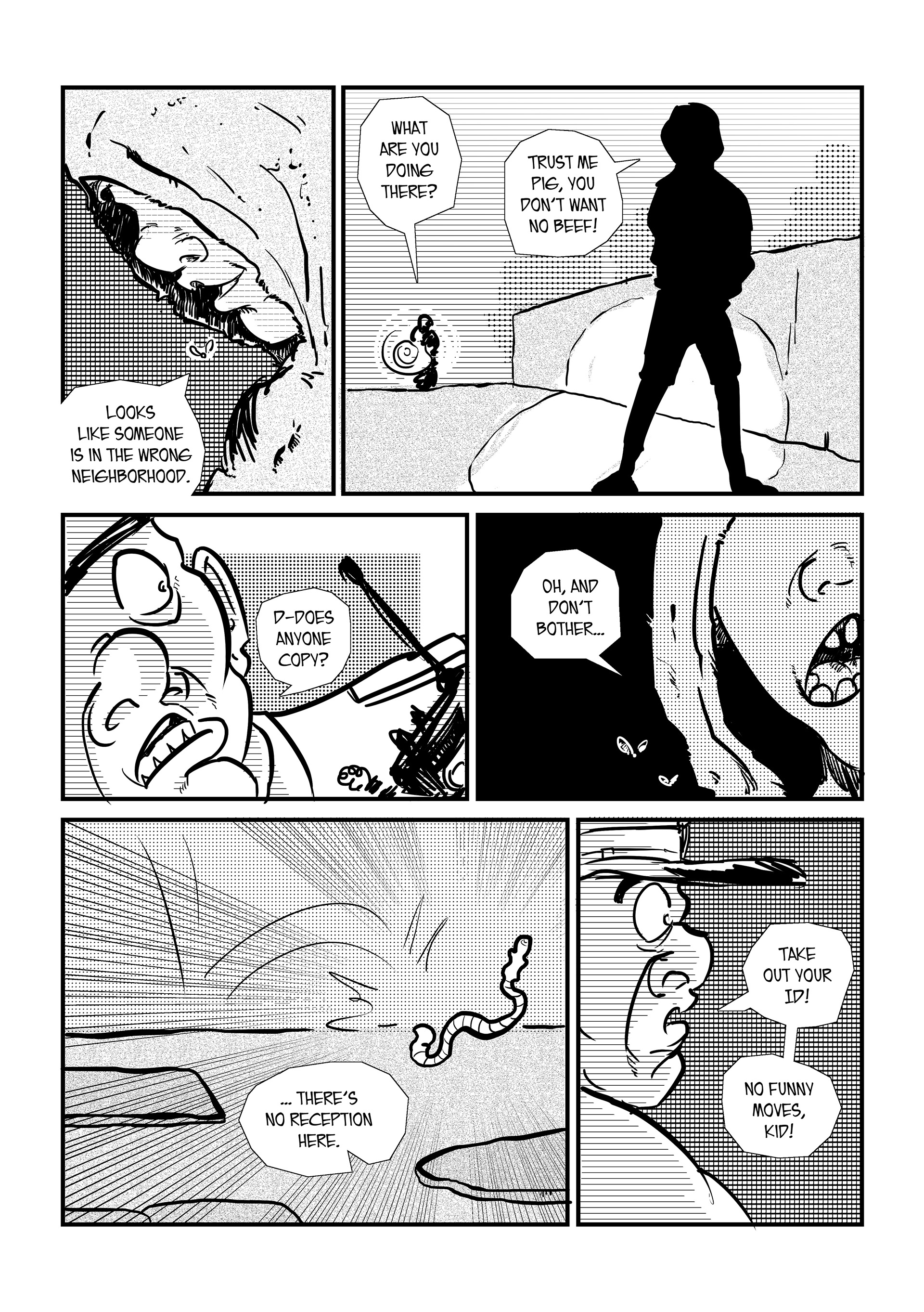 Page 43