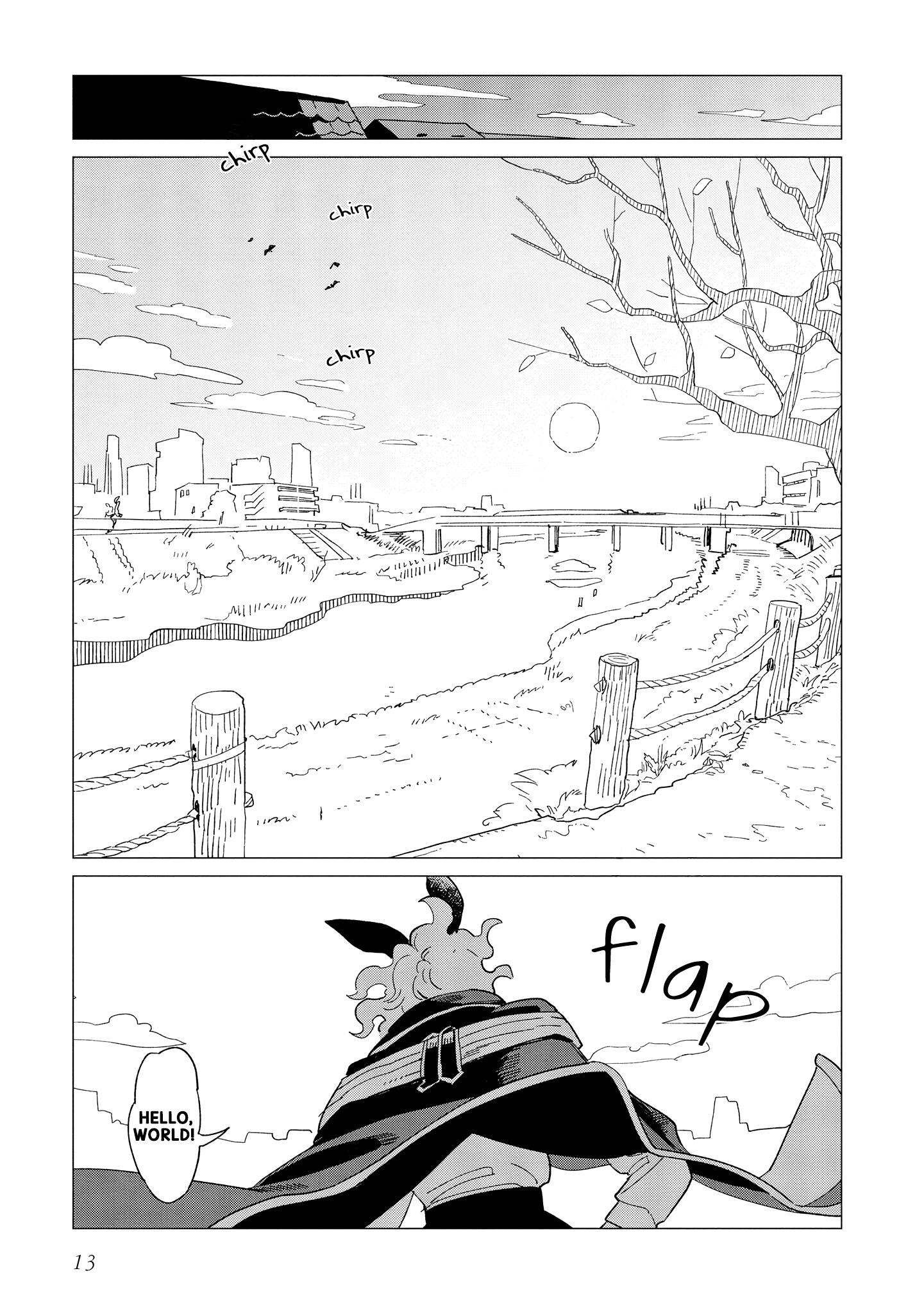 Page 13