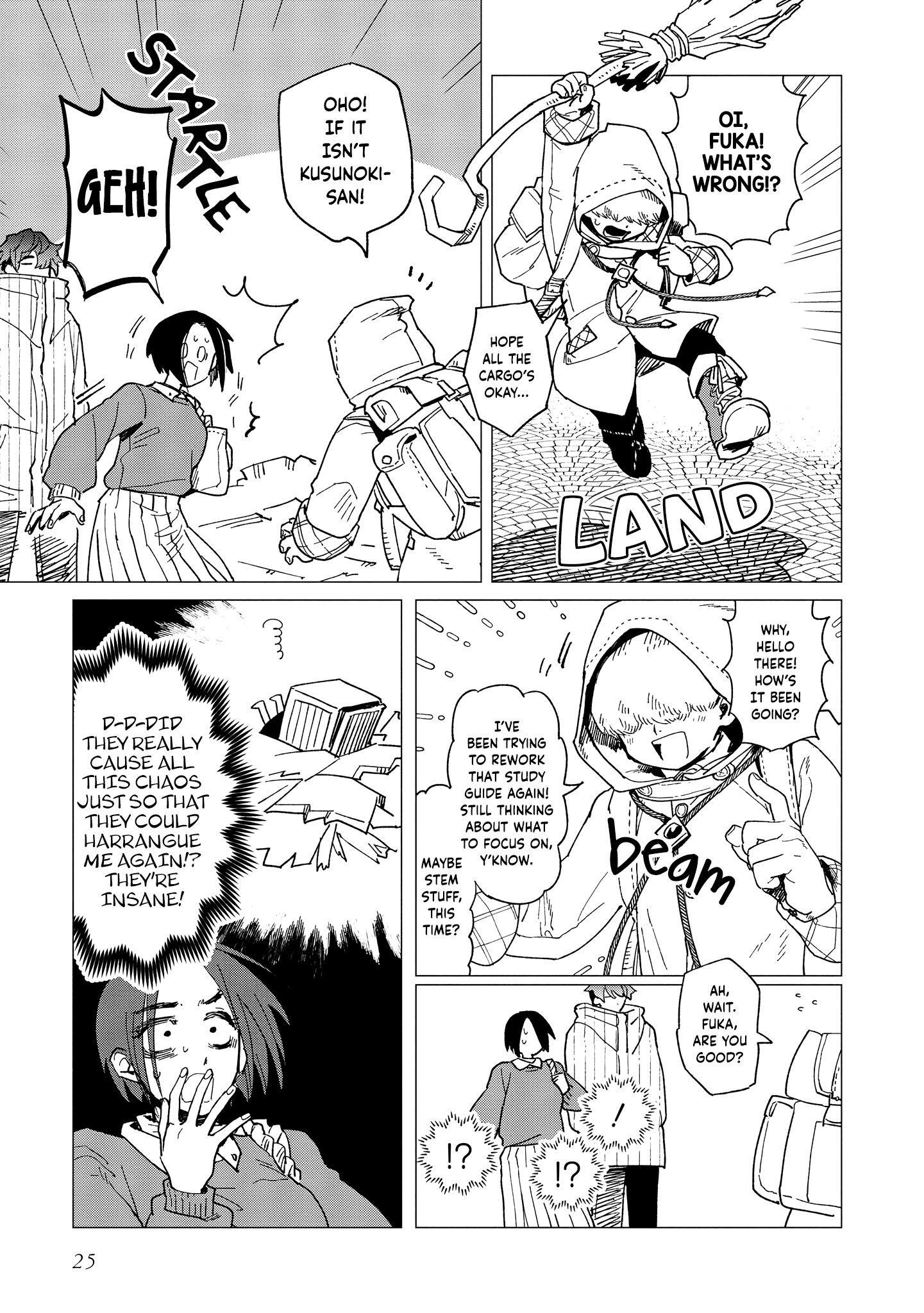 Page 25
