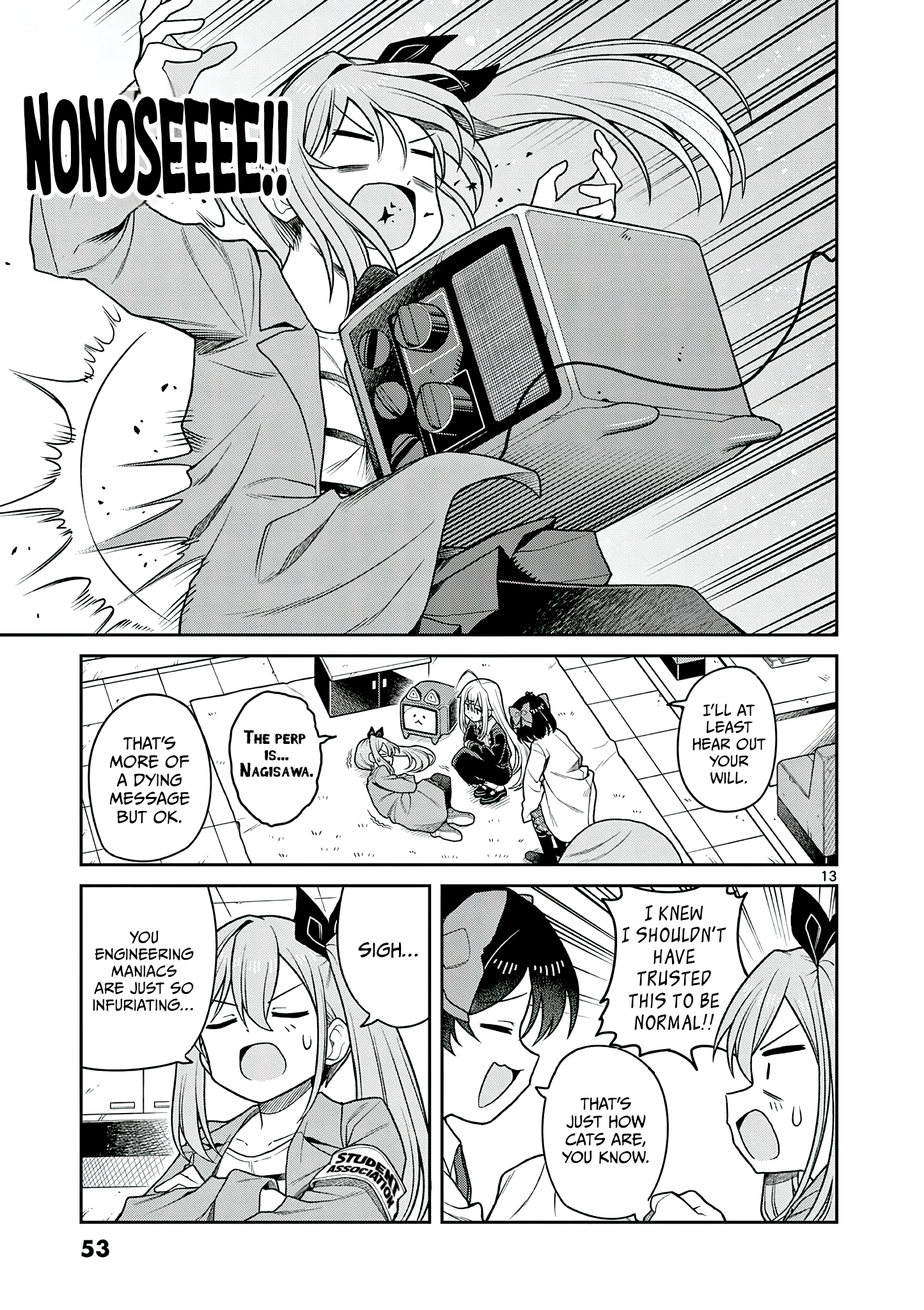 Page 13