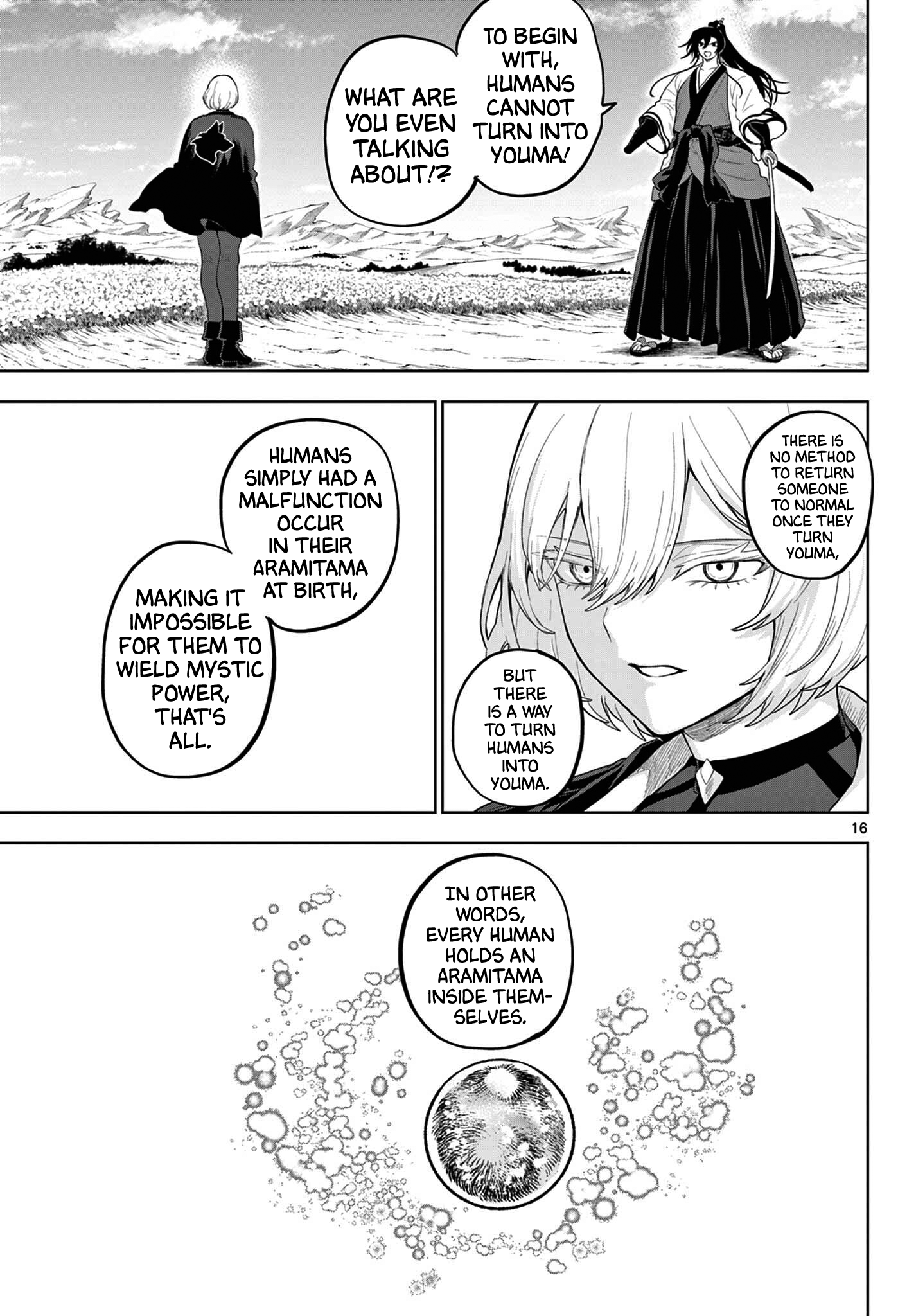 Page 16