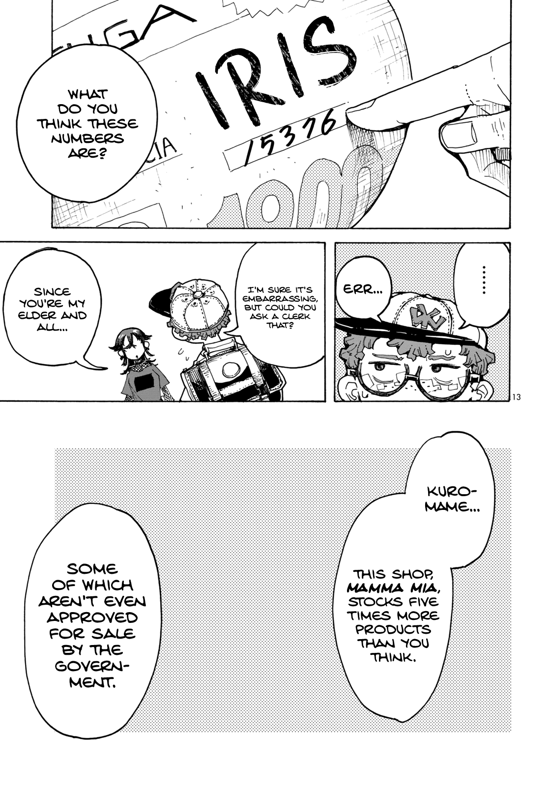 Page 13