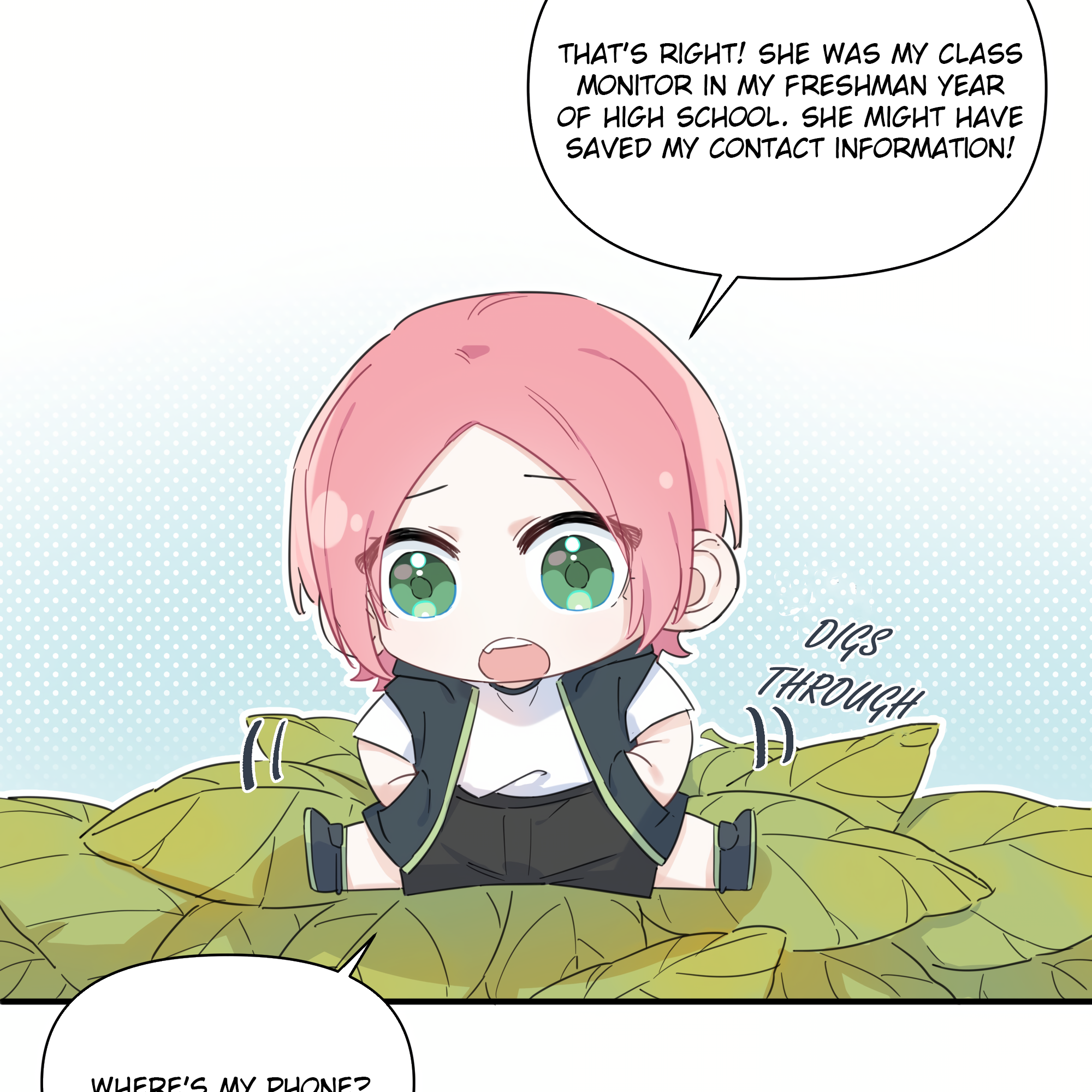 Page 43